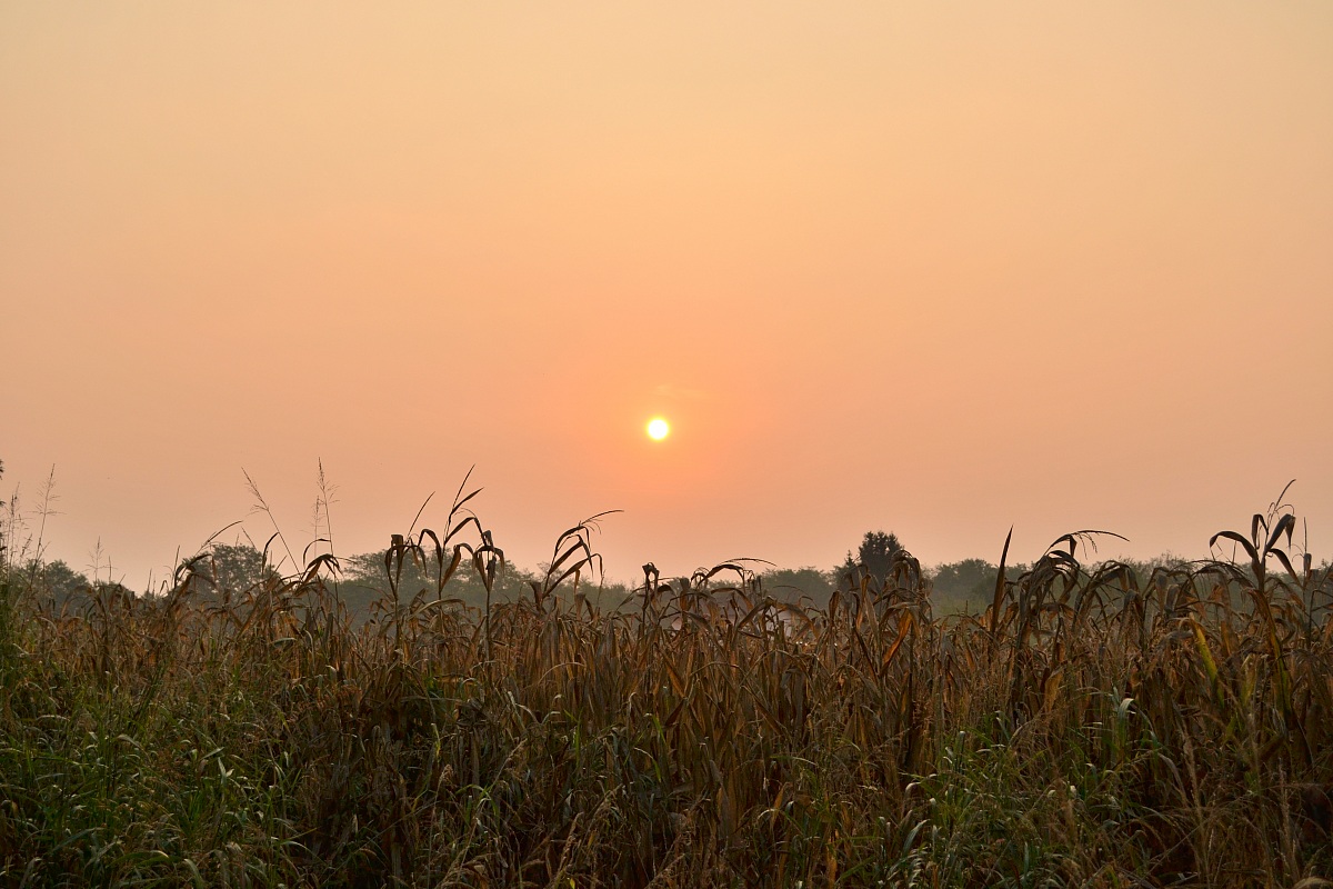 Tramonto di campagna
