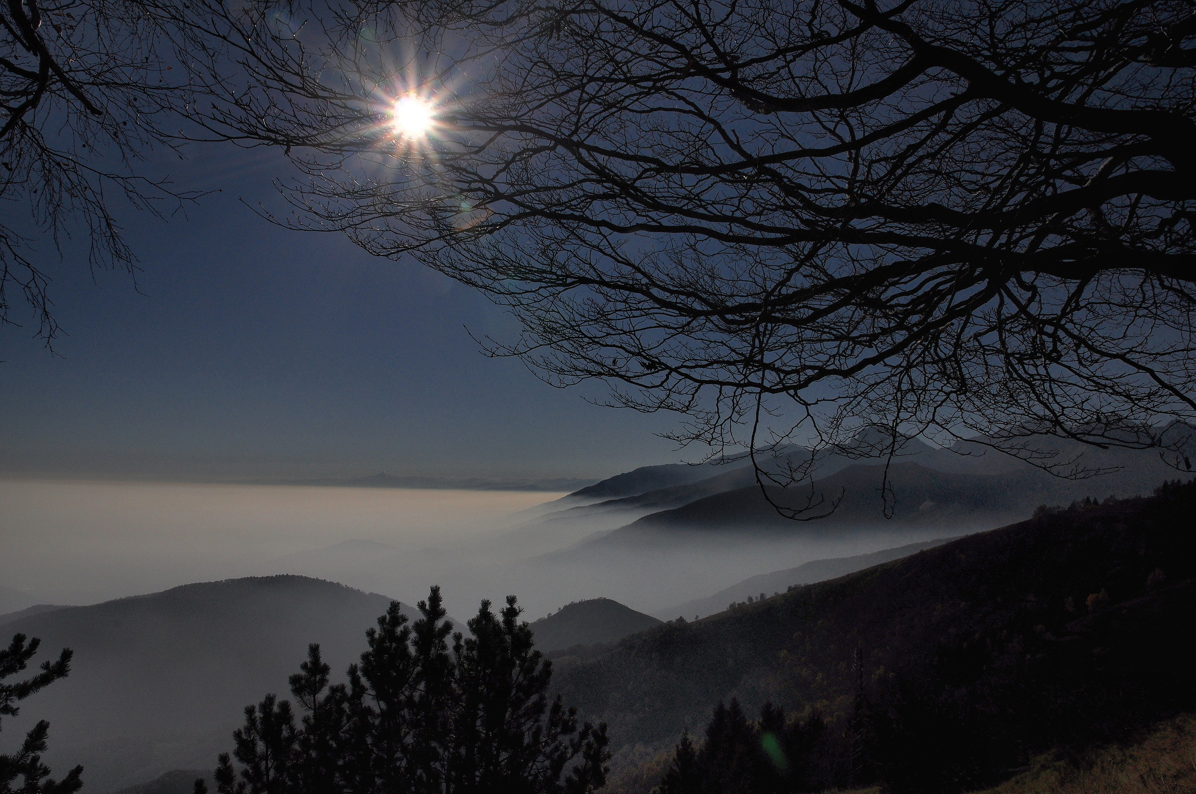 Untitled Photo
