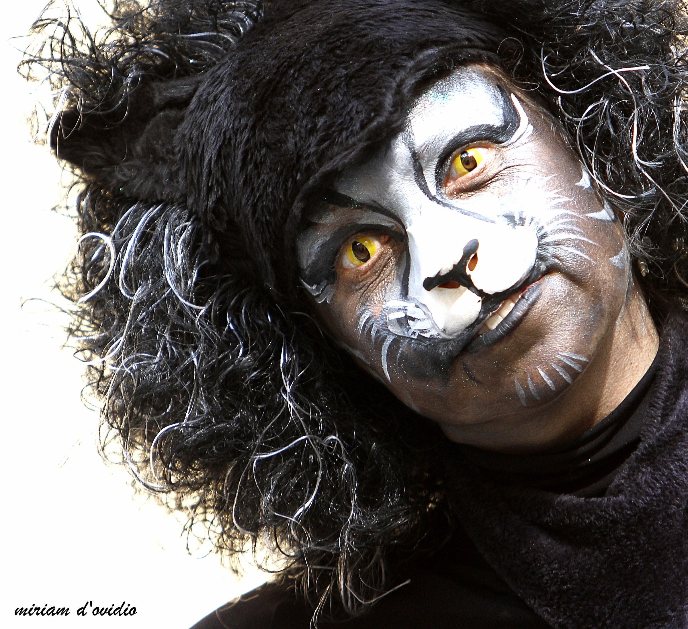 trick at the Cats Festival