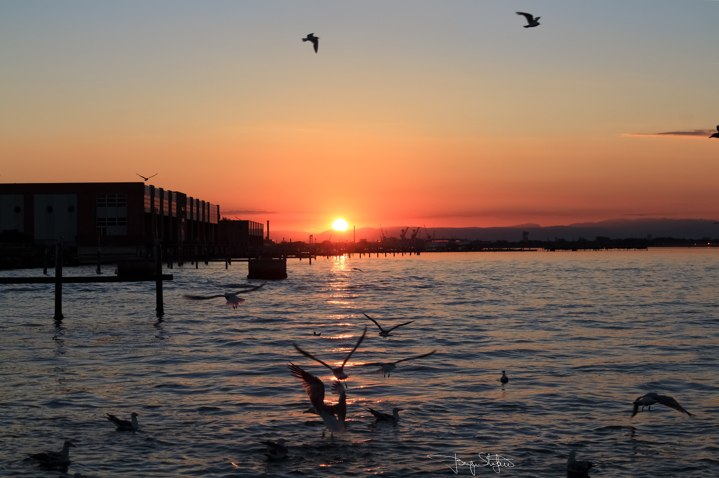 Sunset in lagoon with gulls