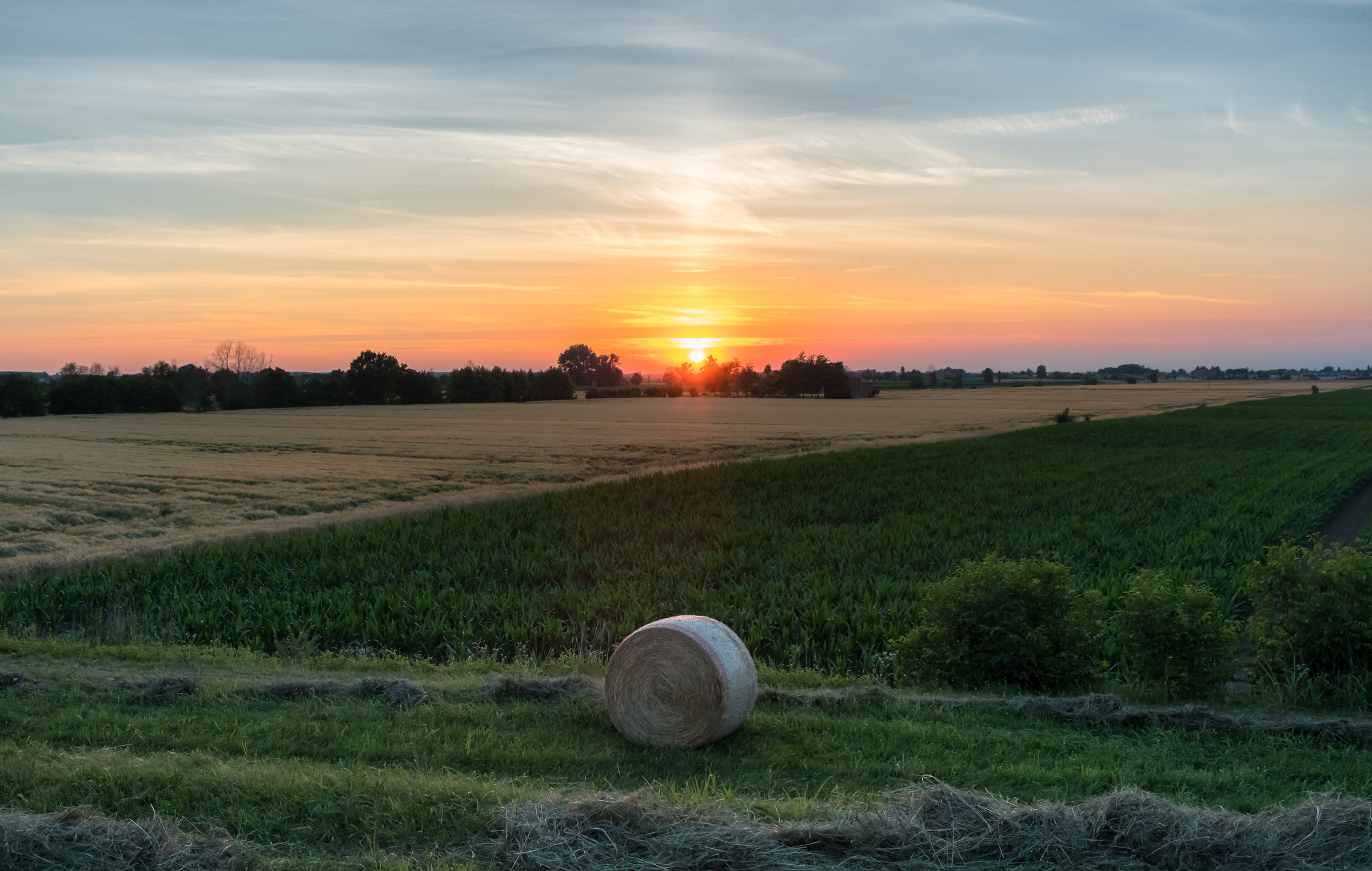 The Last Rotoballa ... !!!