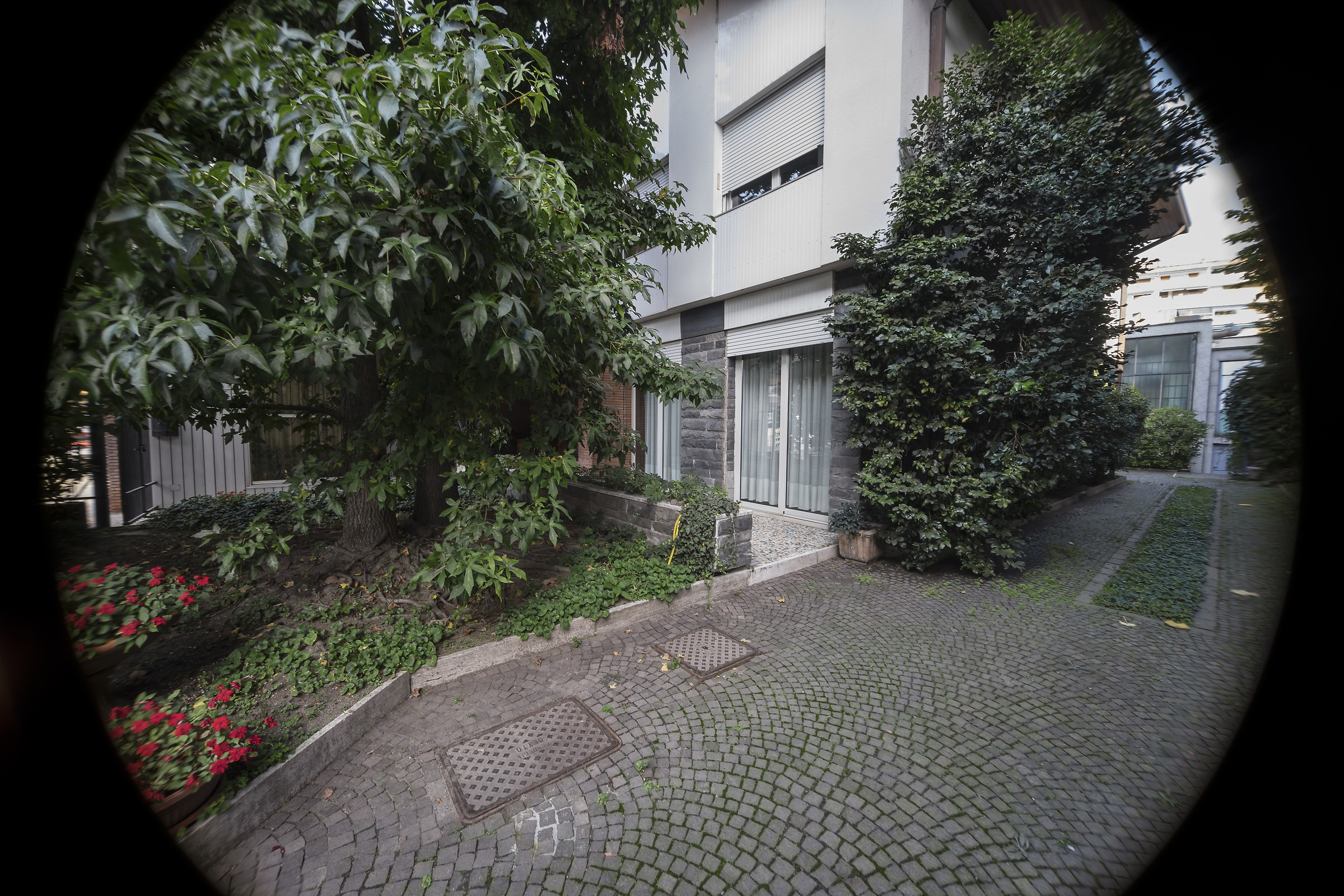 Samyang 12mm f / 2 on Sony a7ii