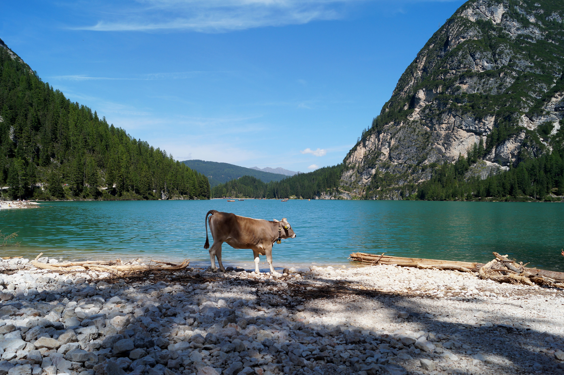 Gita in riva al lago di Braies