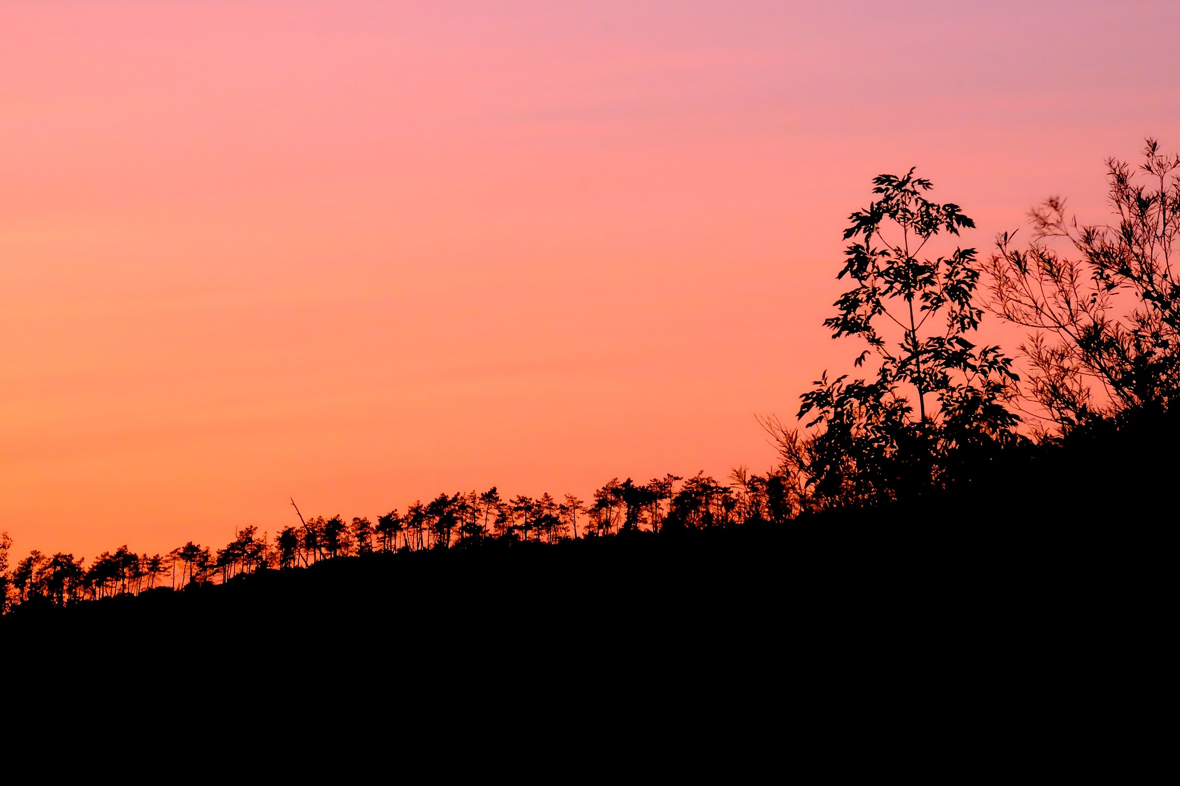 silhouette of a sunset