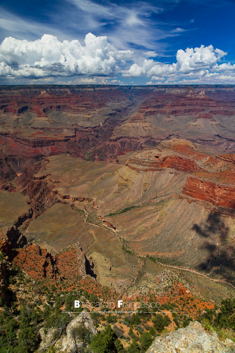 Grand Canyon verticale