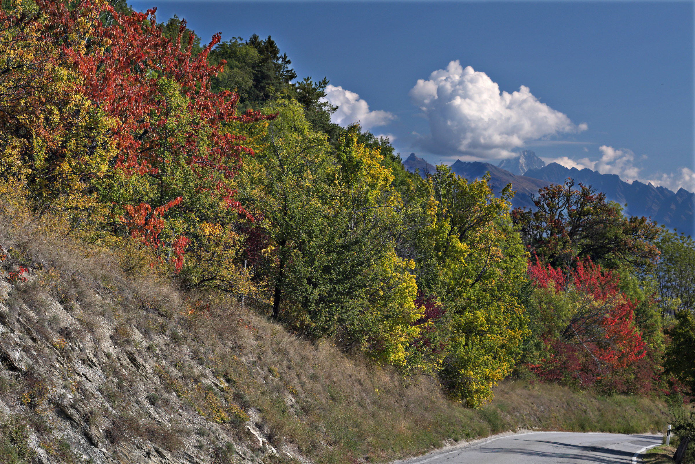Una tavolozza di colori