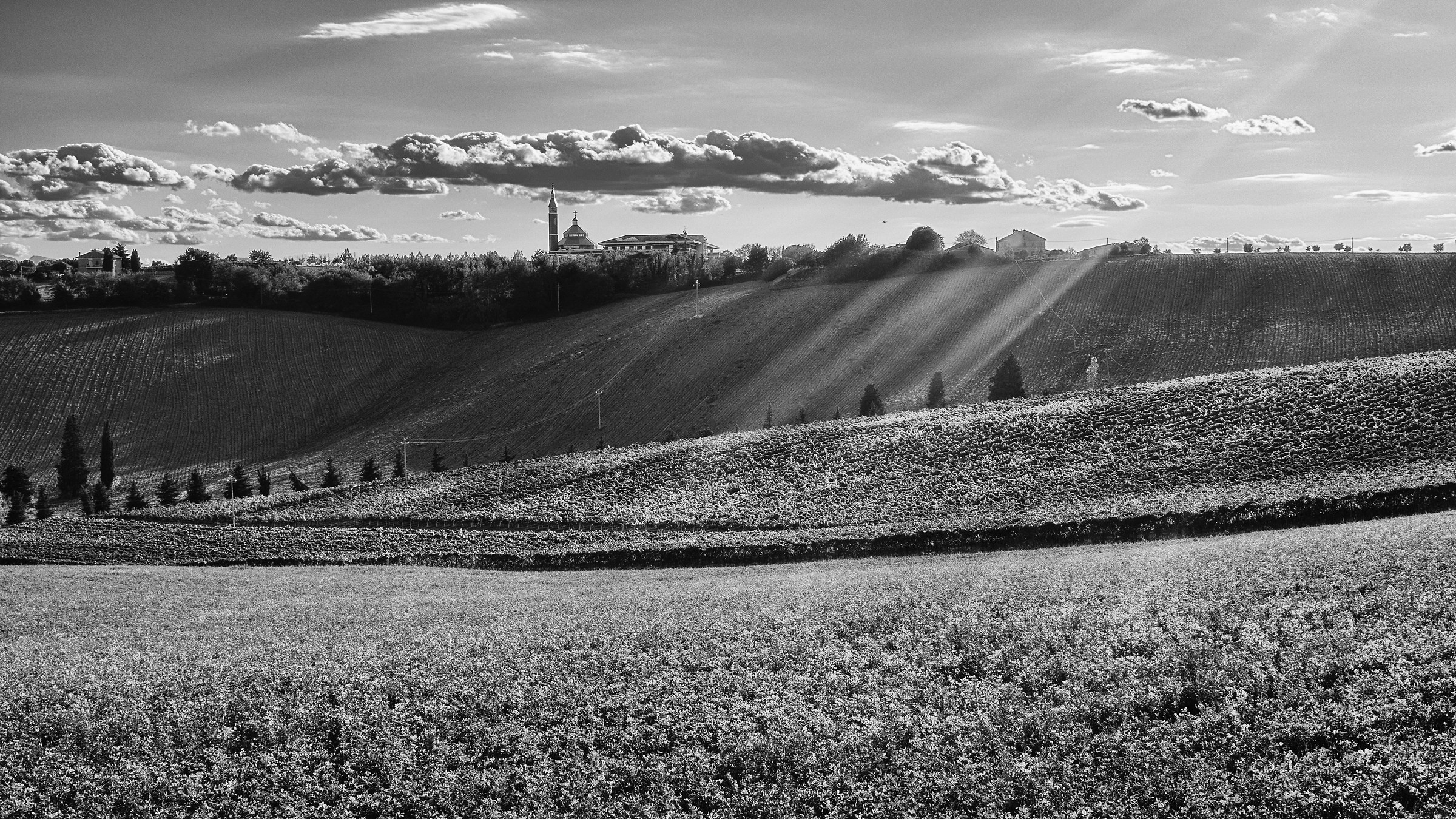 Marchigiana Campaign