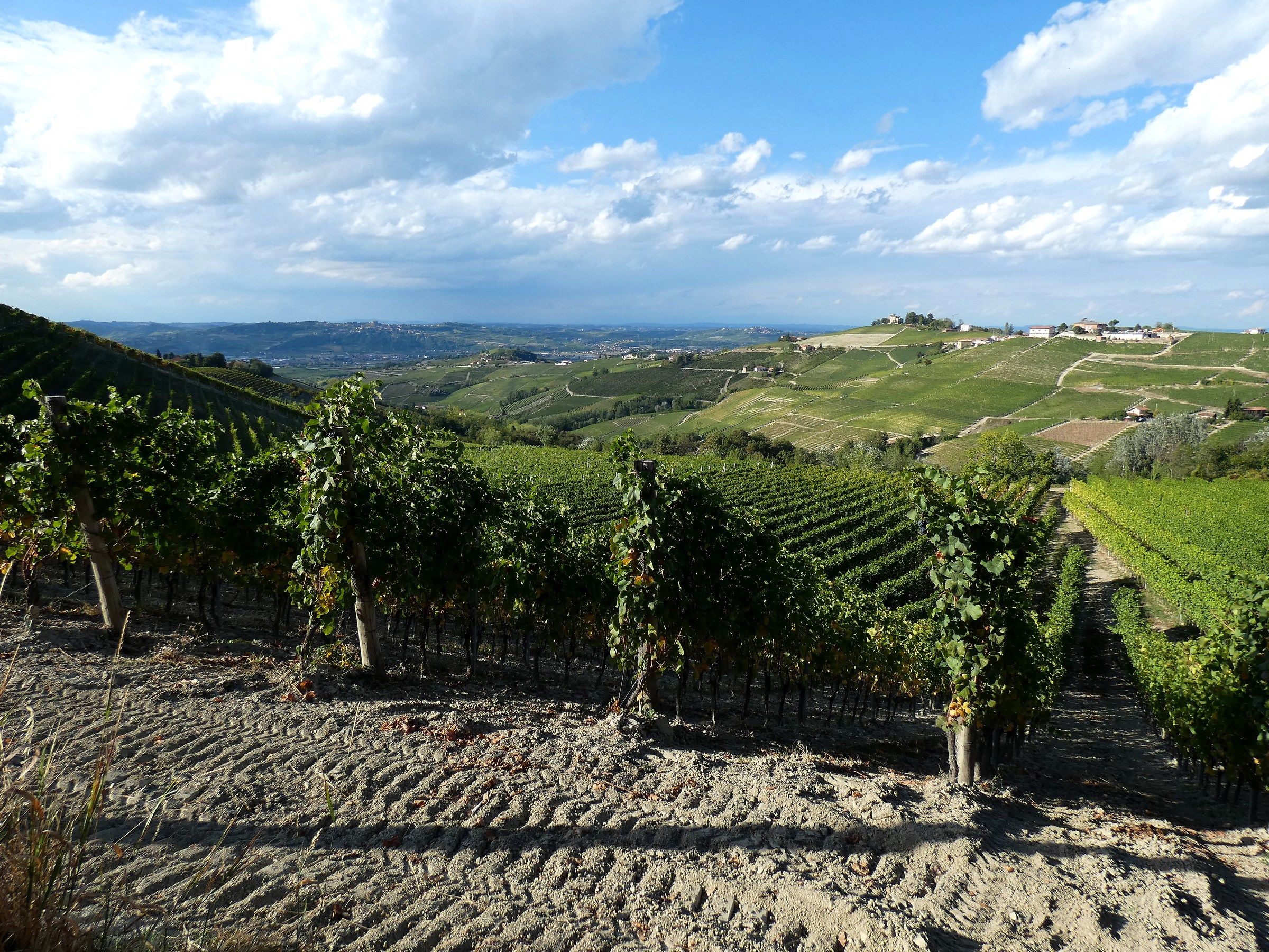 Barbaresco