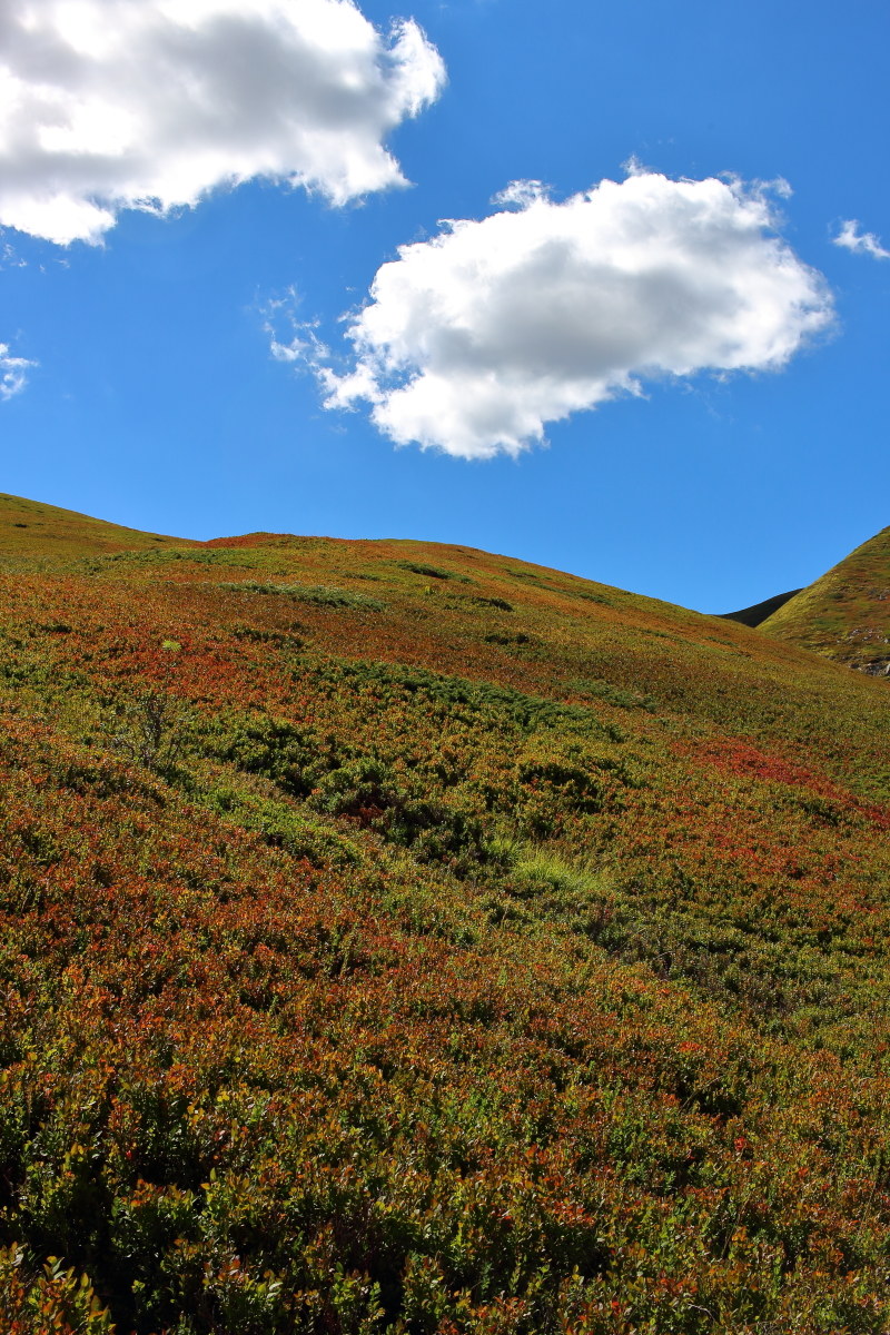 The ridge in September