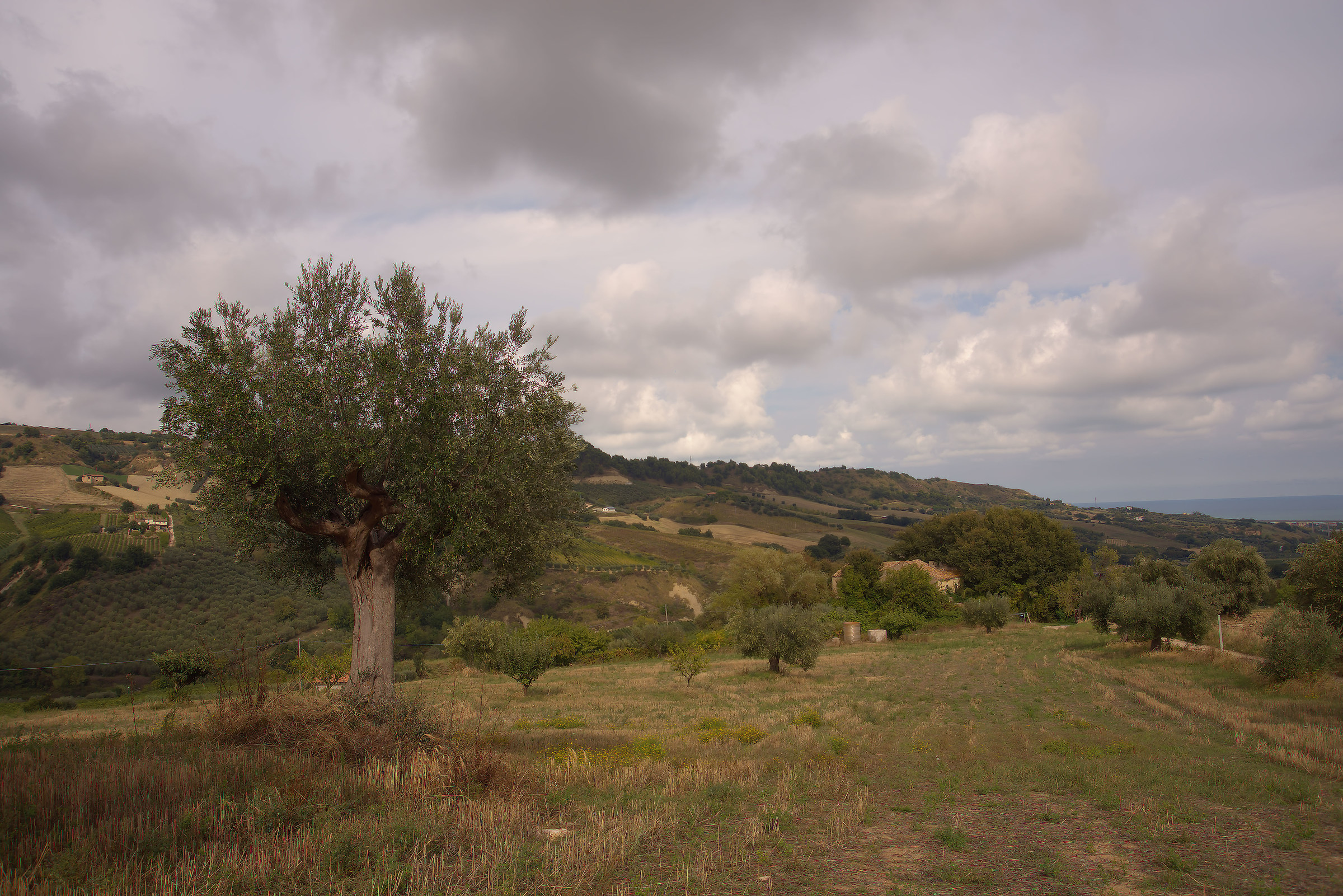 Hills of Monteprandone