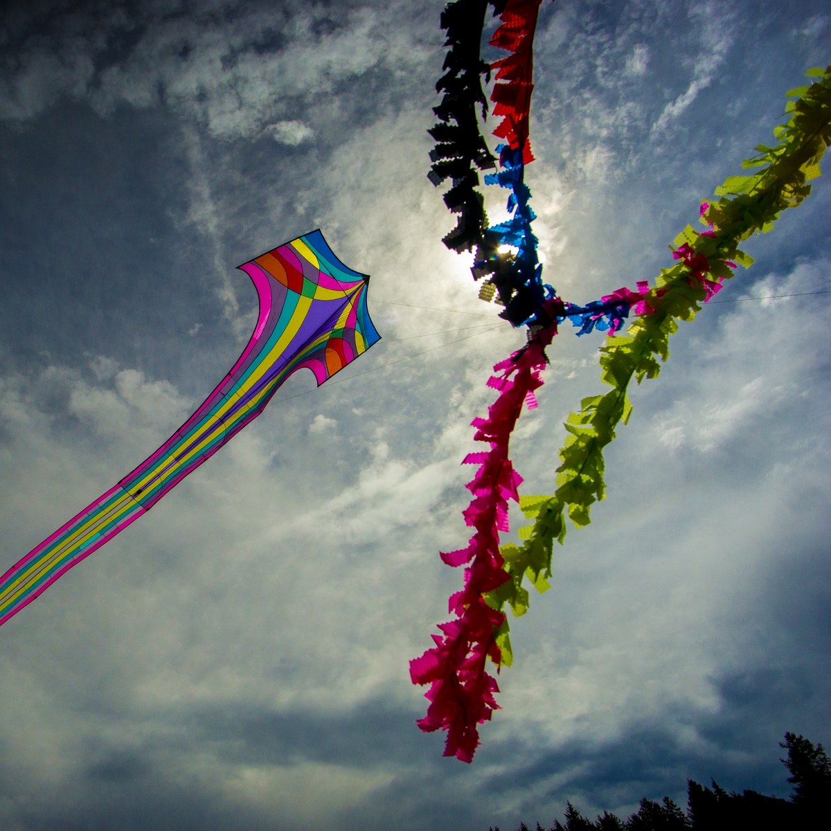 Aquiloni Salice D'Ulzio 2017