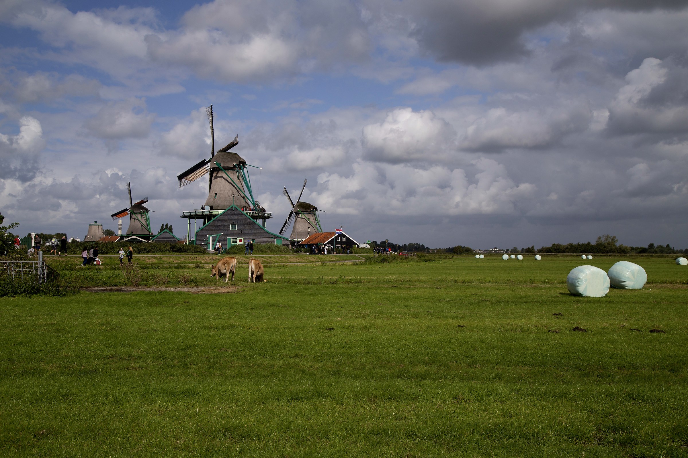 Zaanse Schans