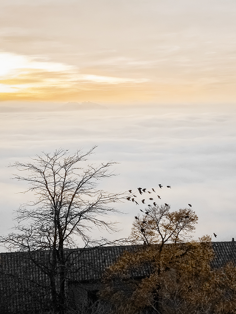 In montagna su un mare di nebbia