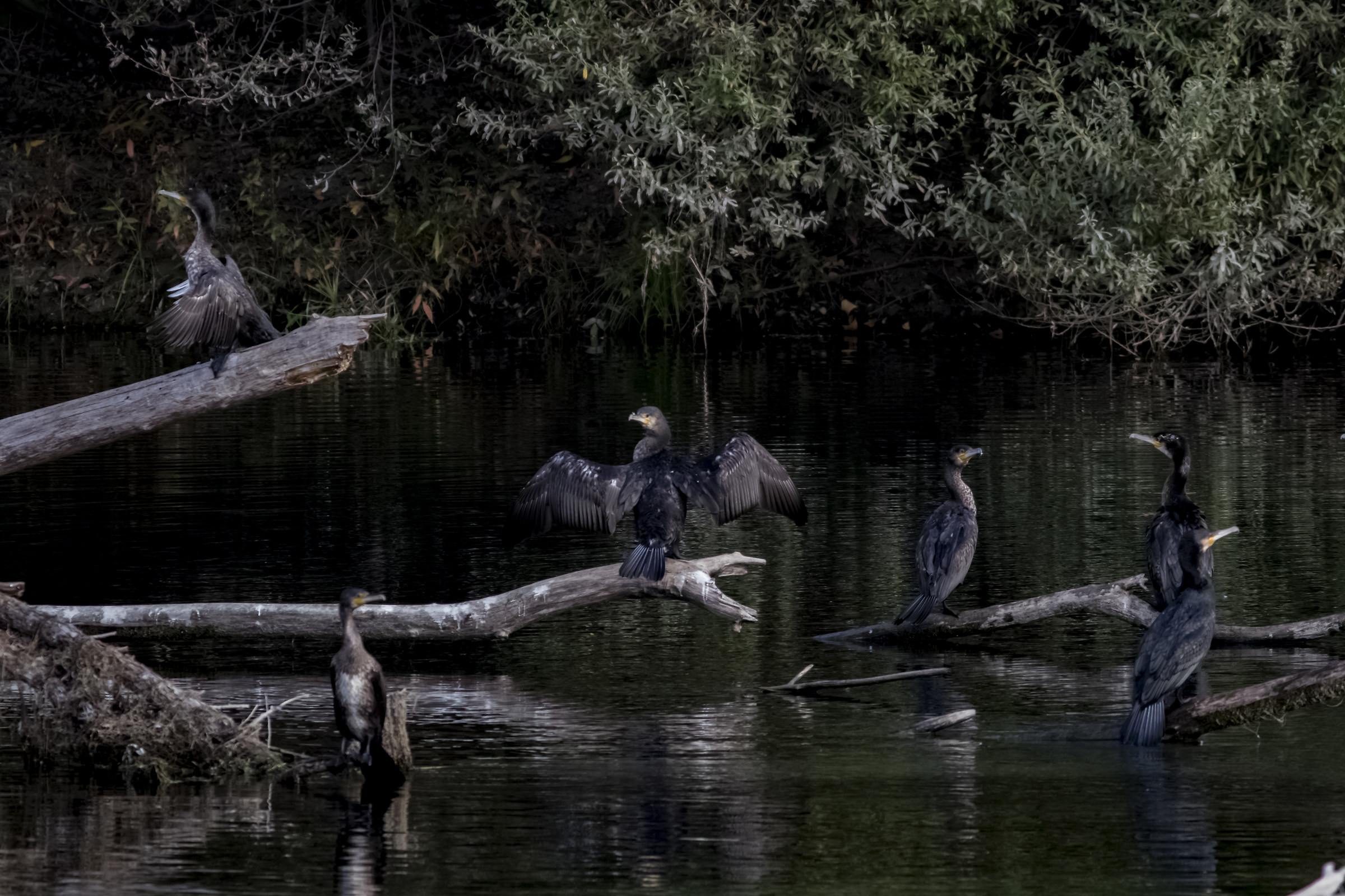 Family group in an exterior