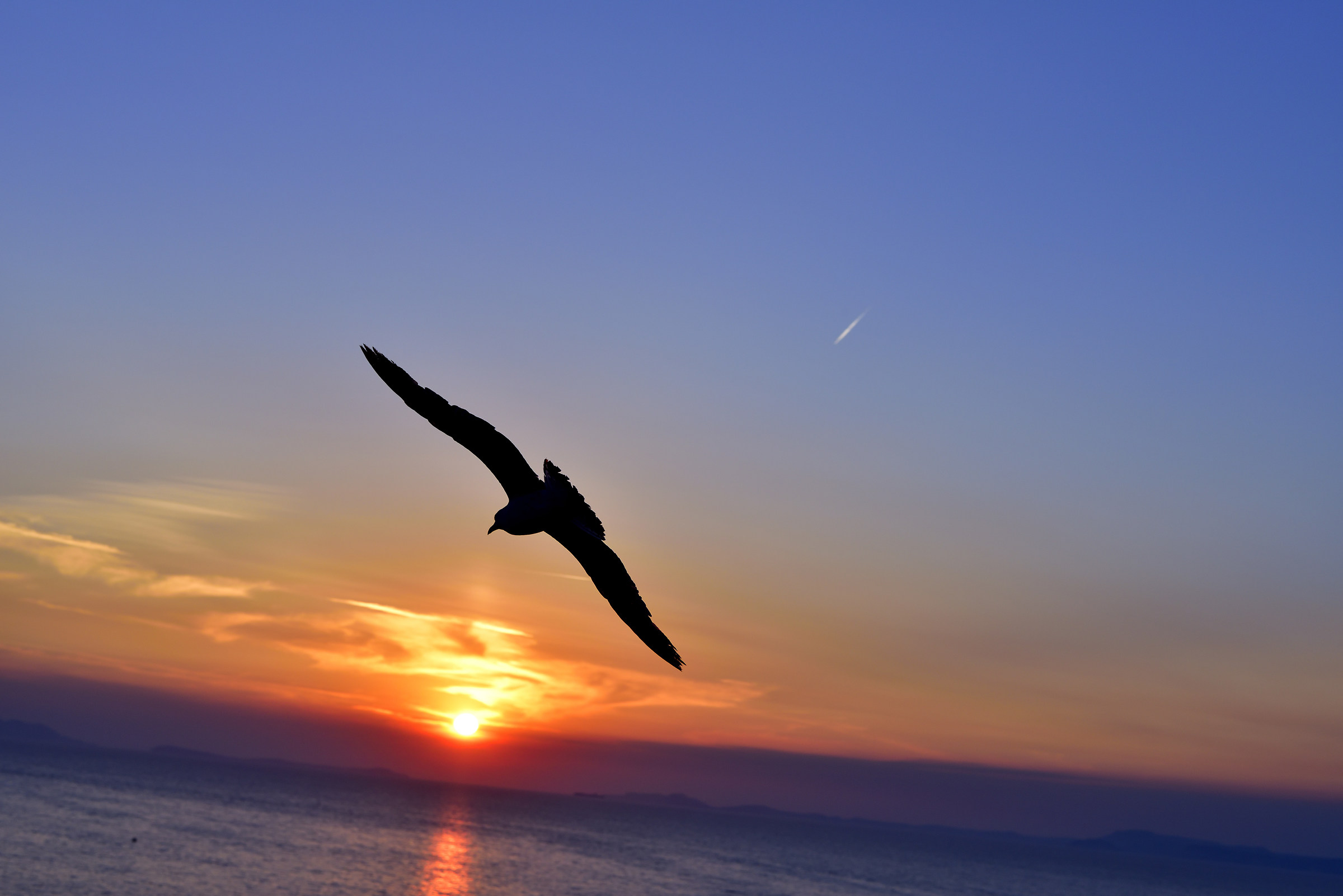 On the wings of silence