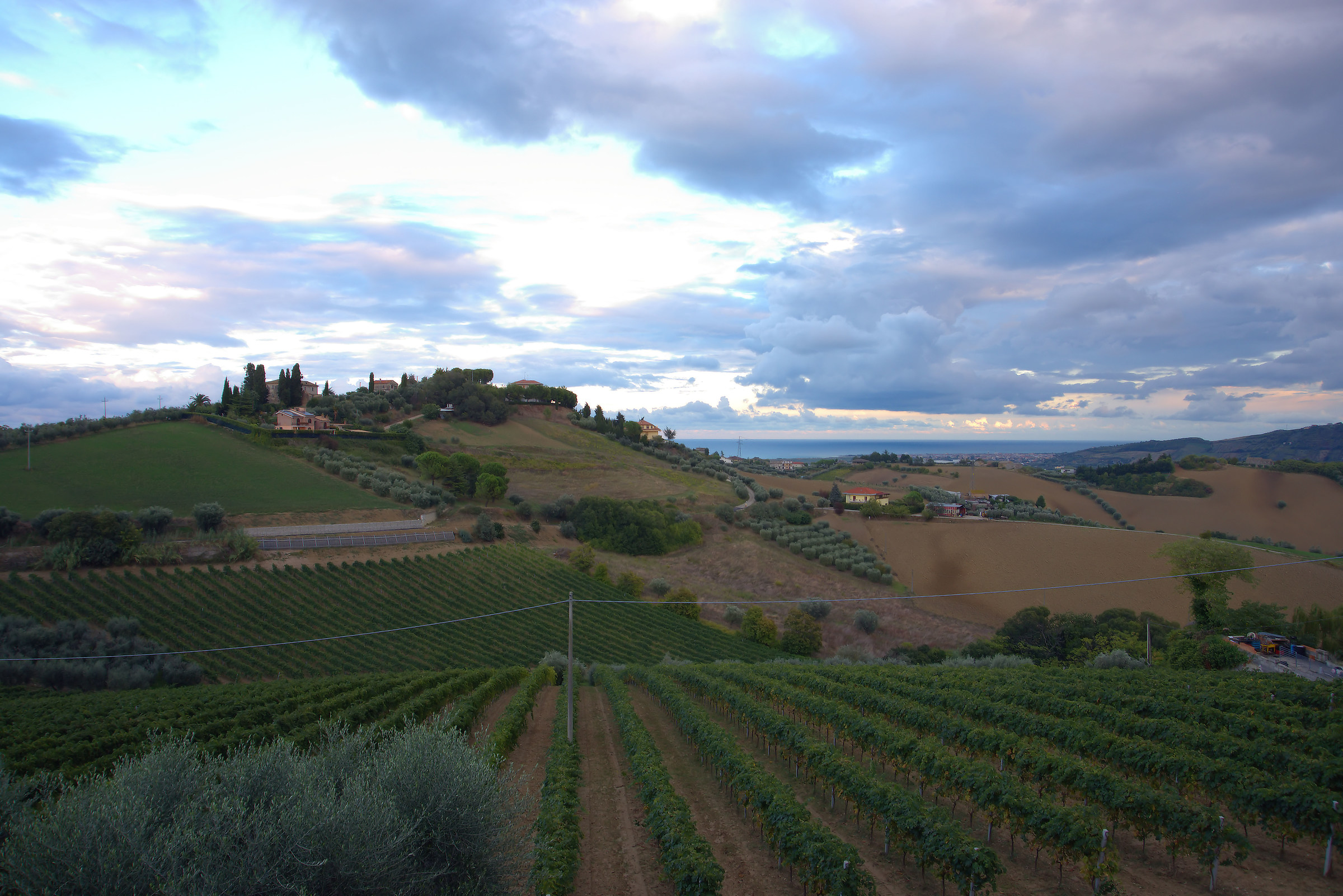 Hills of Monteprandone