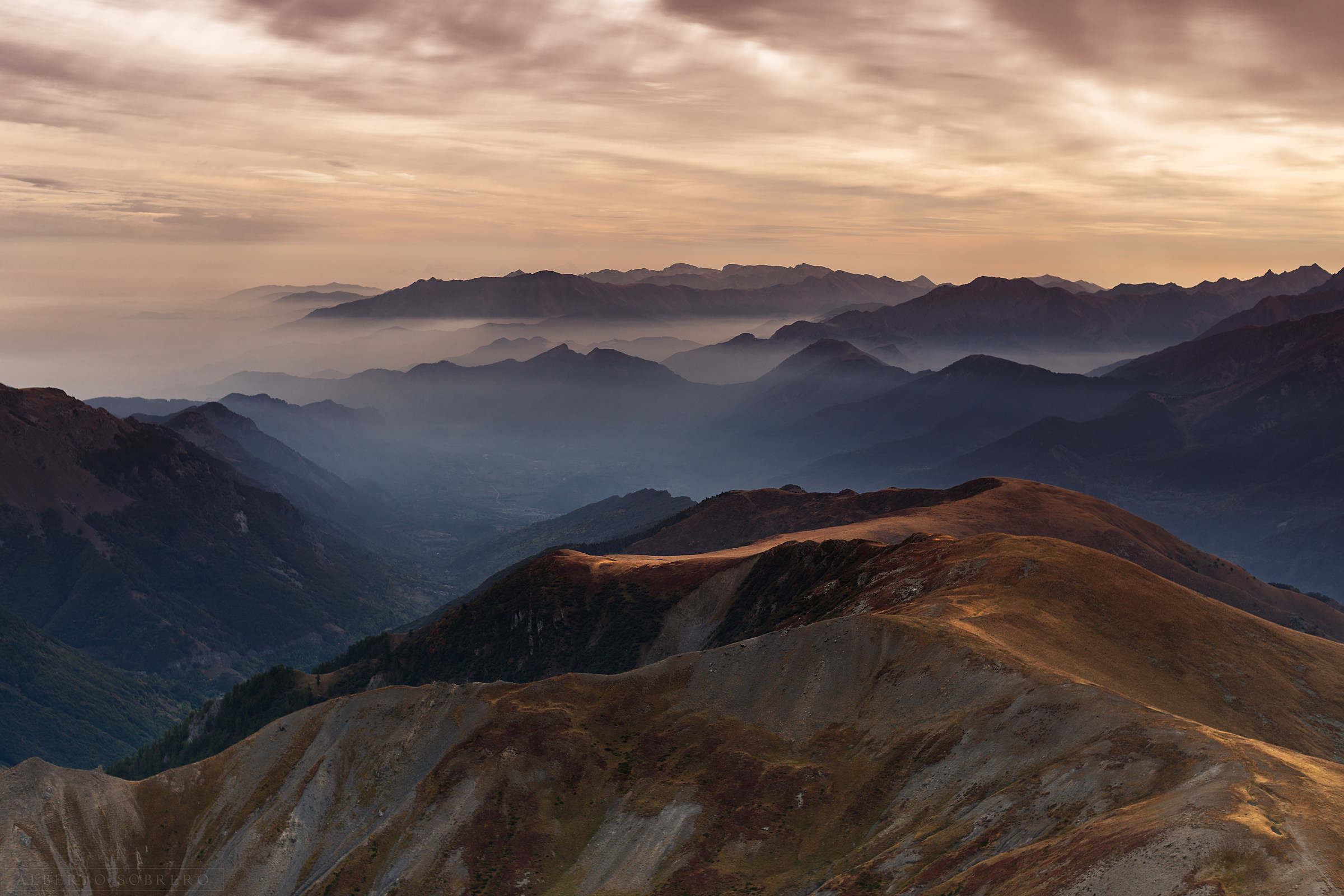 Autumn squirrels on the Maritime Alps