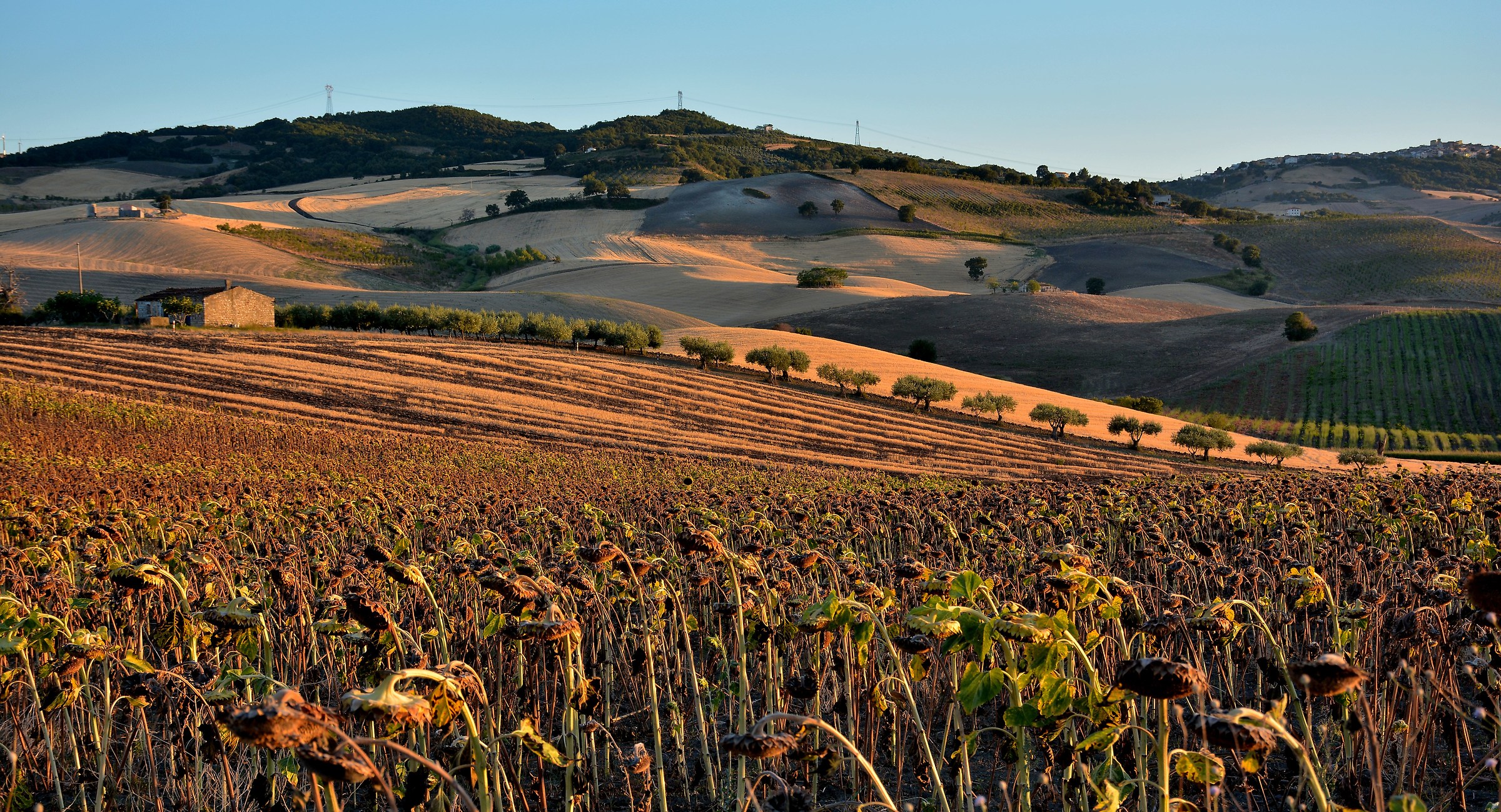 On the Far of the Evening