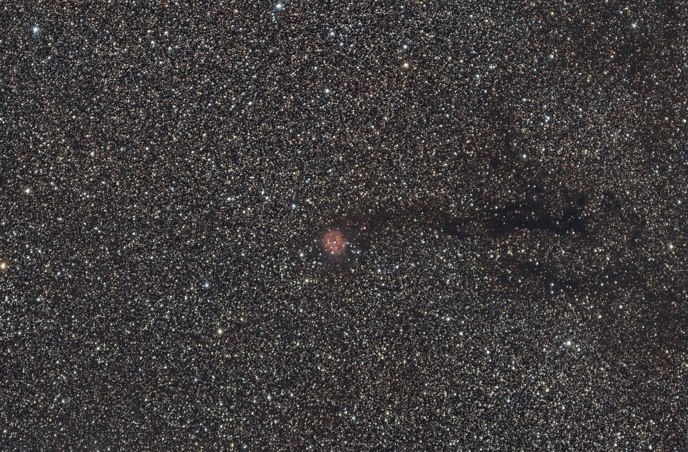 Cocoon Nebula in Cygnus