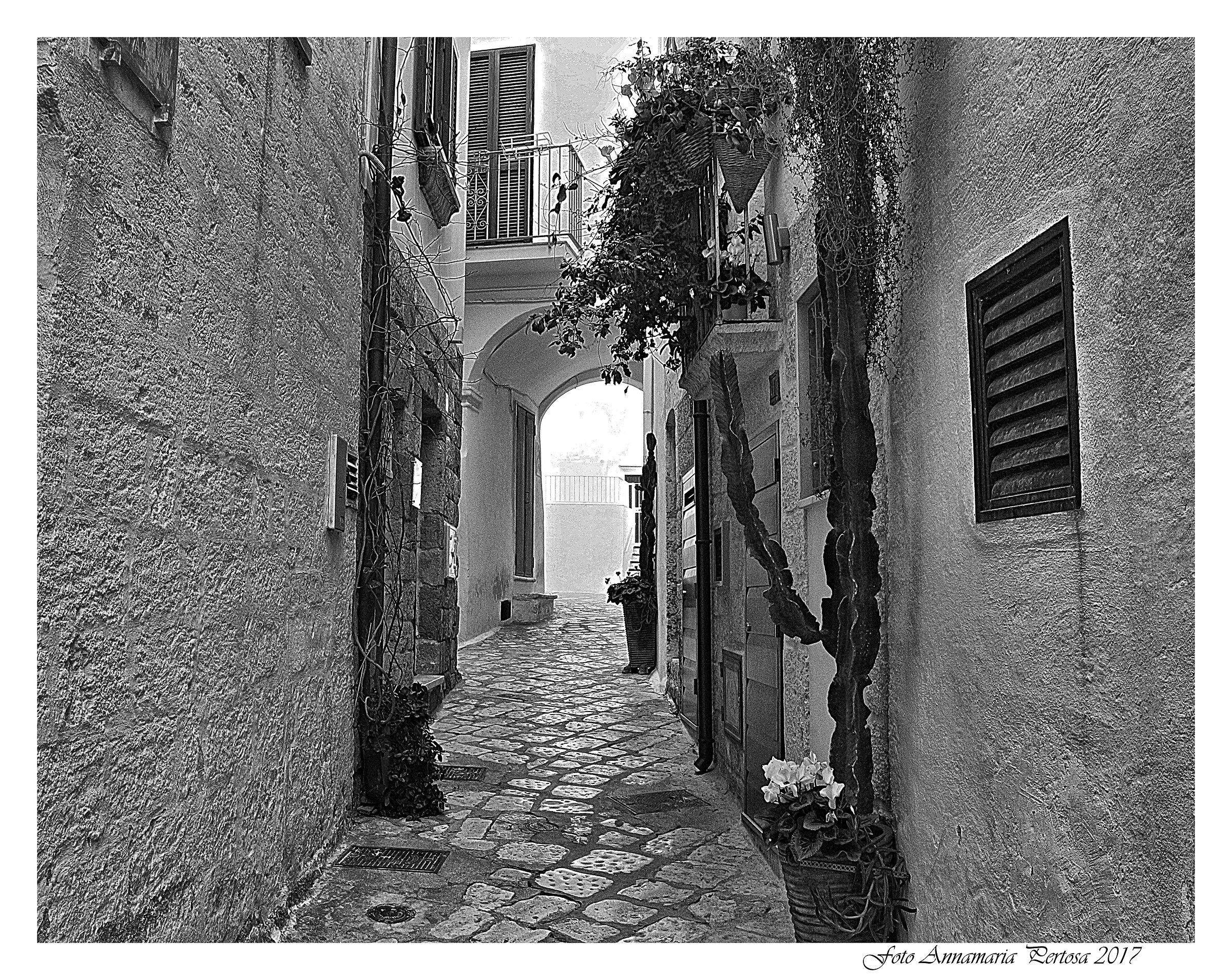An ancient glimpse of Monopoli
