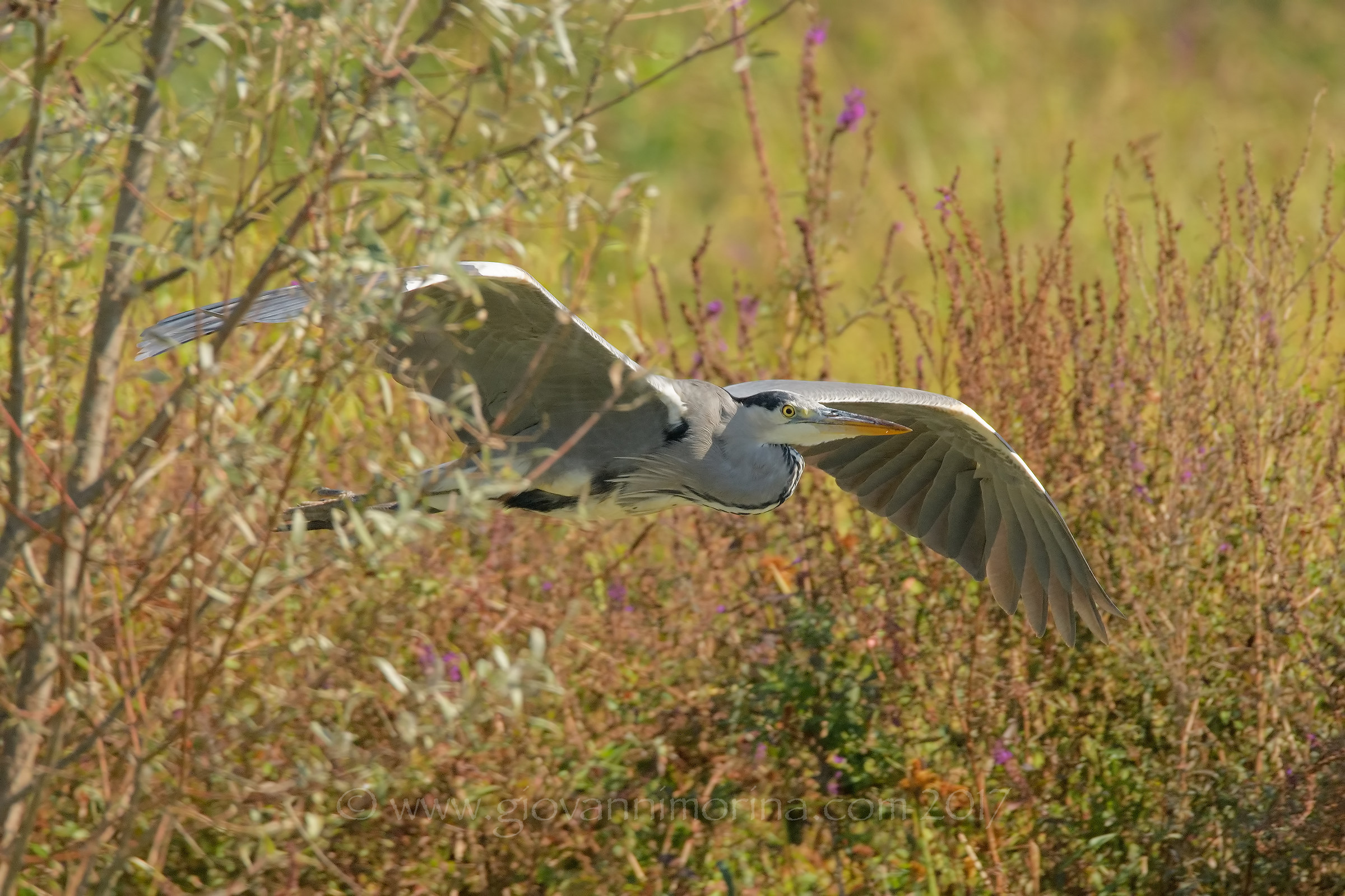 Get out of nowhere ...