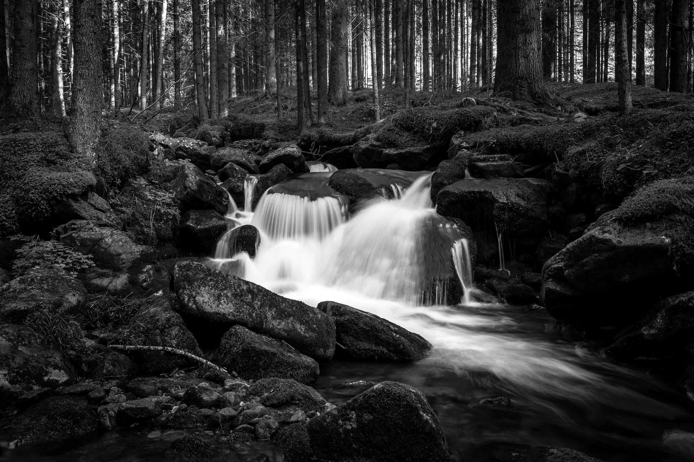 Rio S. Pellegrino - Passo S. Pellegrino