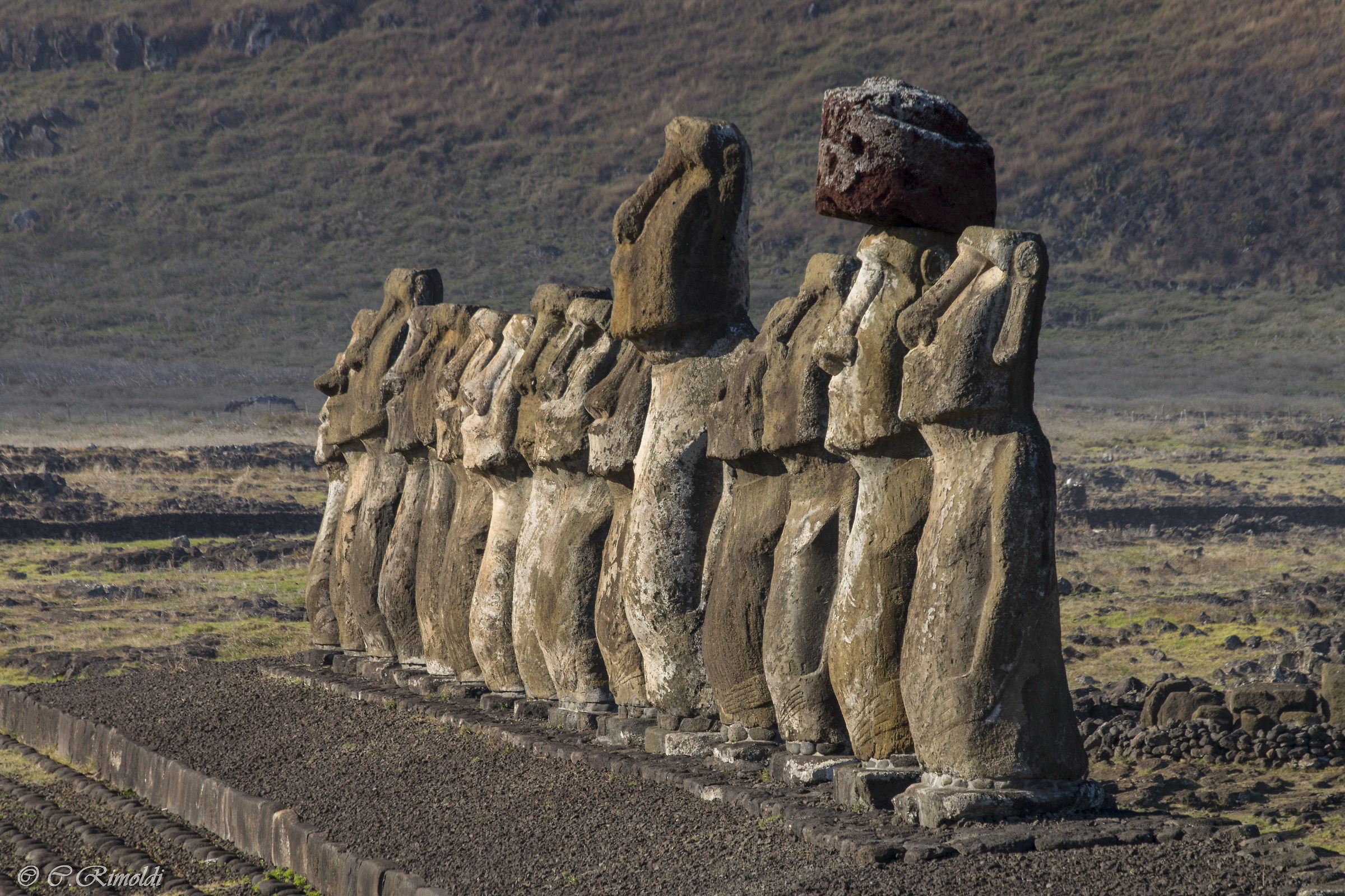 The sentries of Ahu Tongariki
