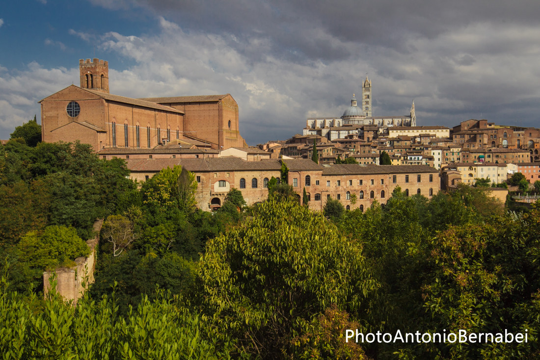 Siena