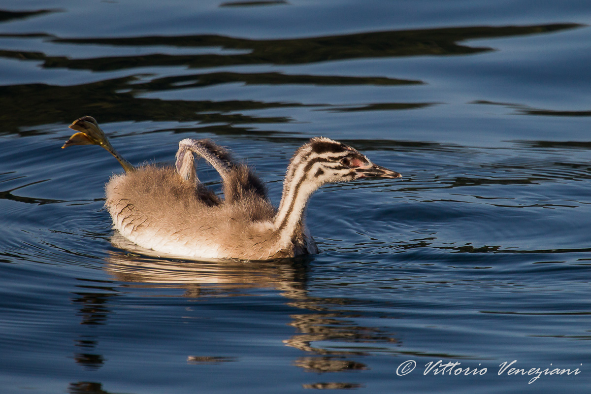 Stretching ..... ...