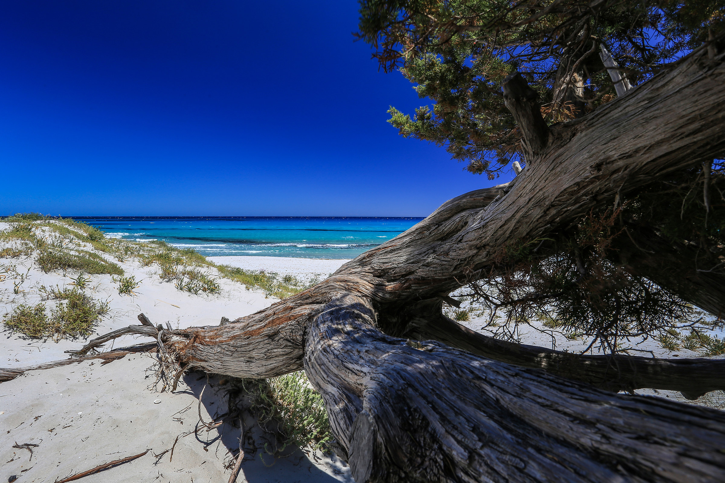 Captain Comino Blues