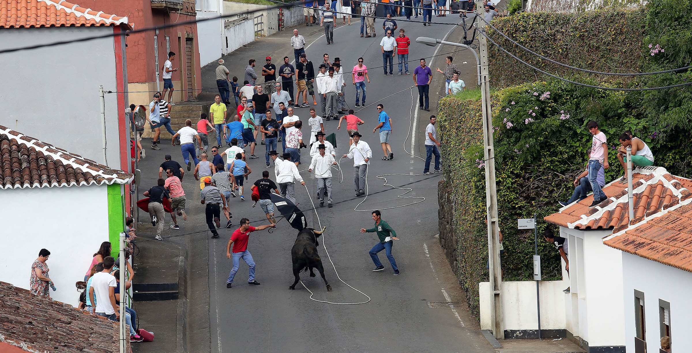 touradas à corda -Quattro Ribeiras