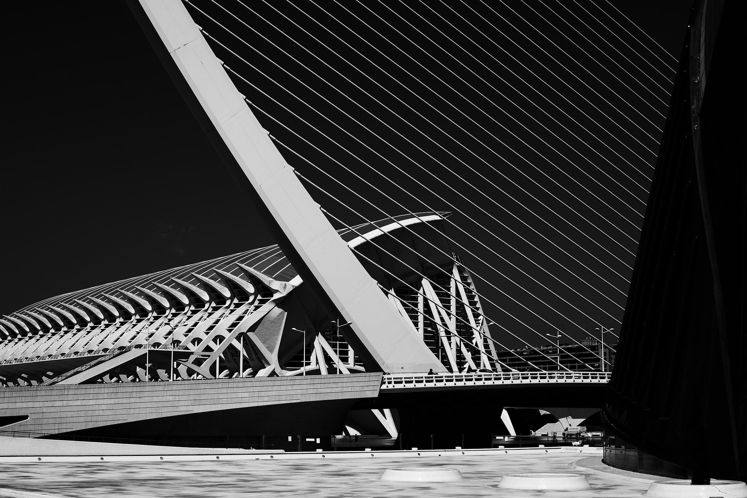 Calatrava forever