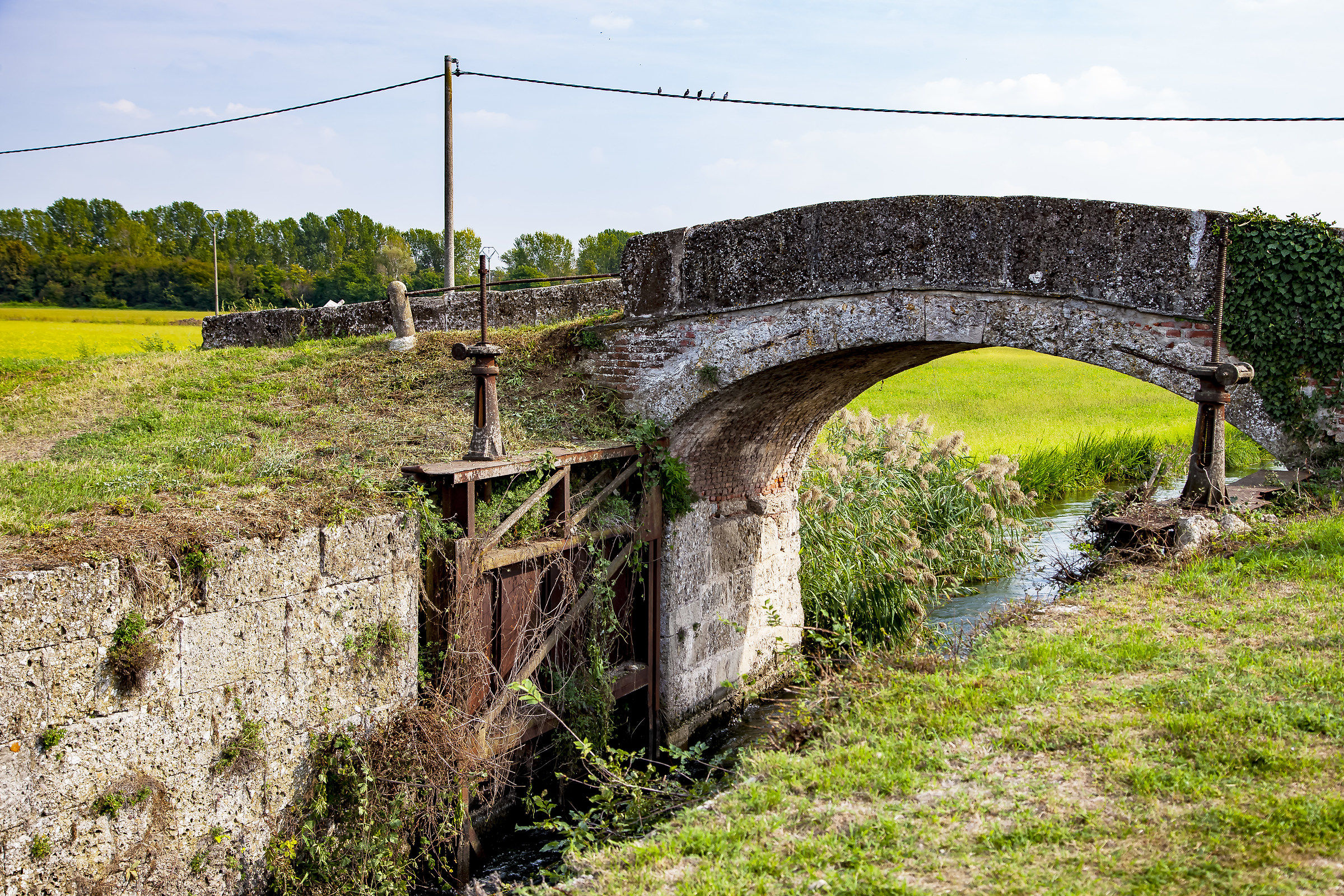 Naviglio di Bereguardo VI Conca di Basiano