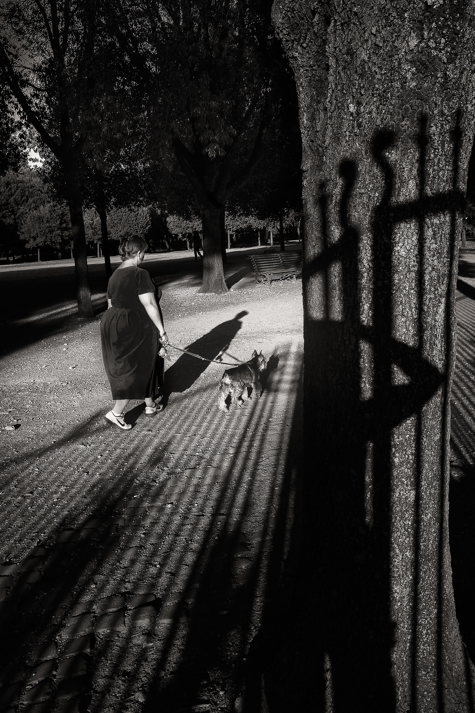 Villa Borghese. Roma, 2017.