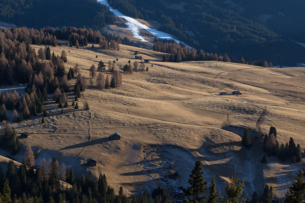 alps of siusi - italy
