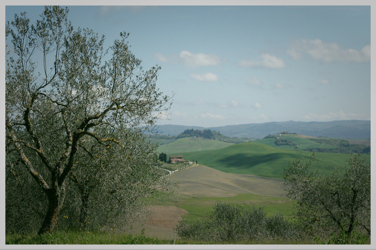 Countryside Senese (2014)