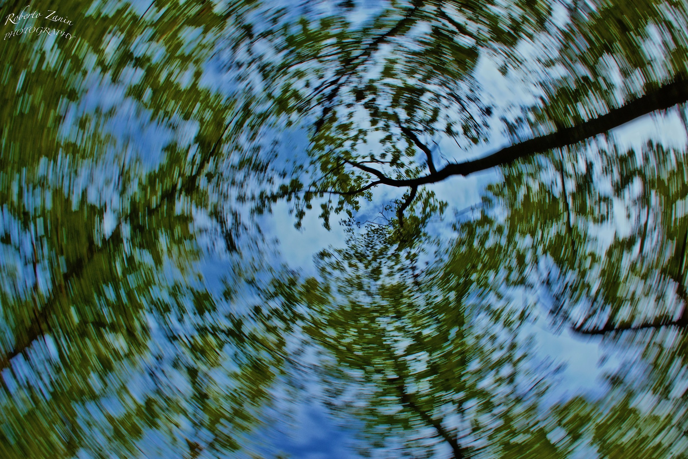 Spinning under the trees