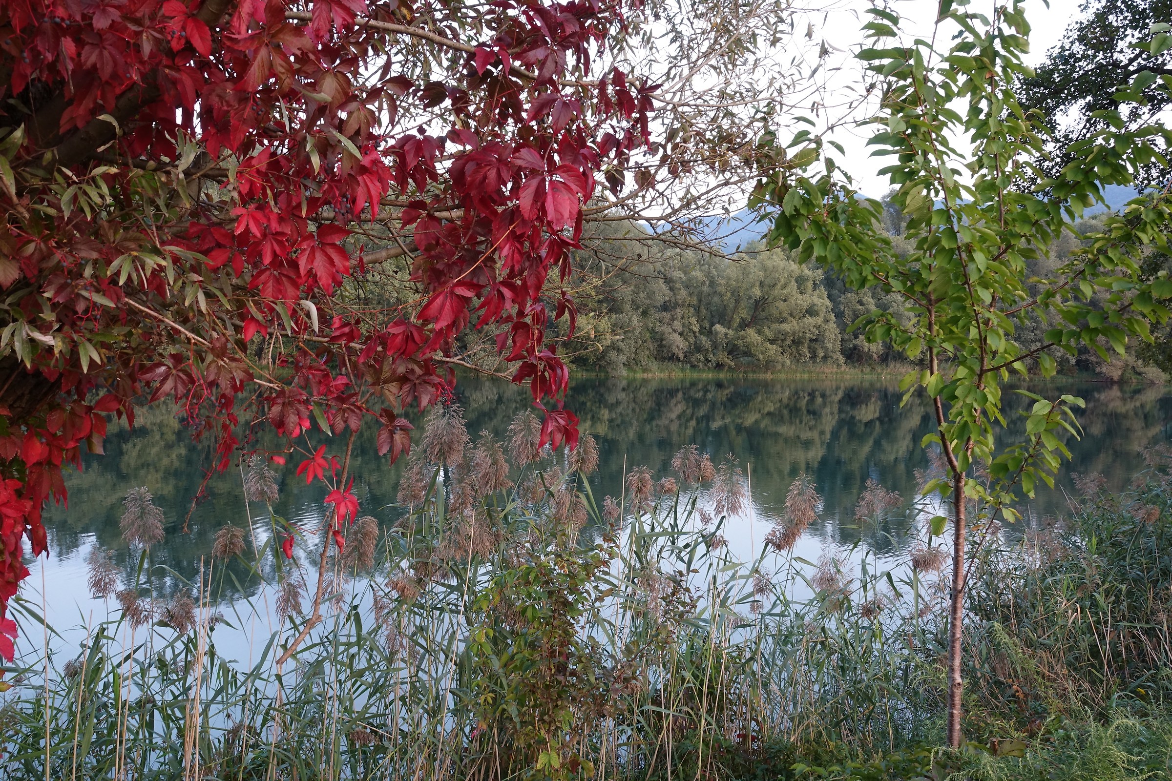 Adda, early autumn colors
