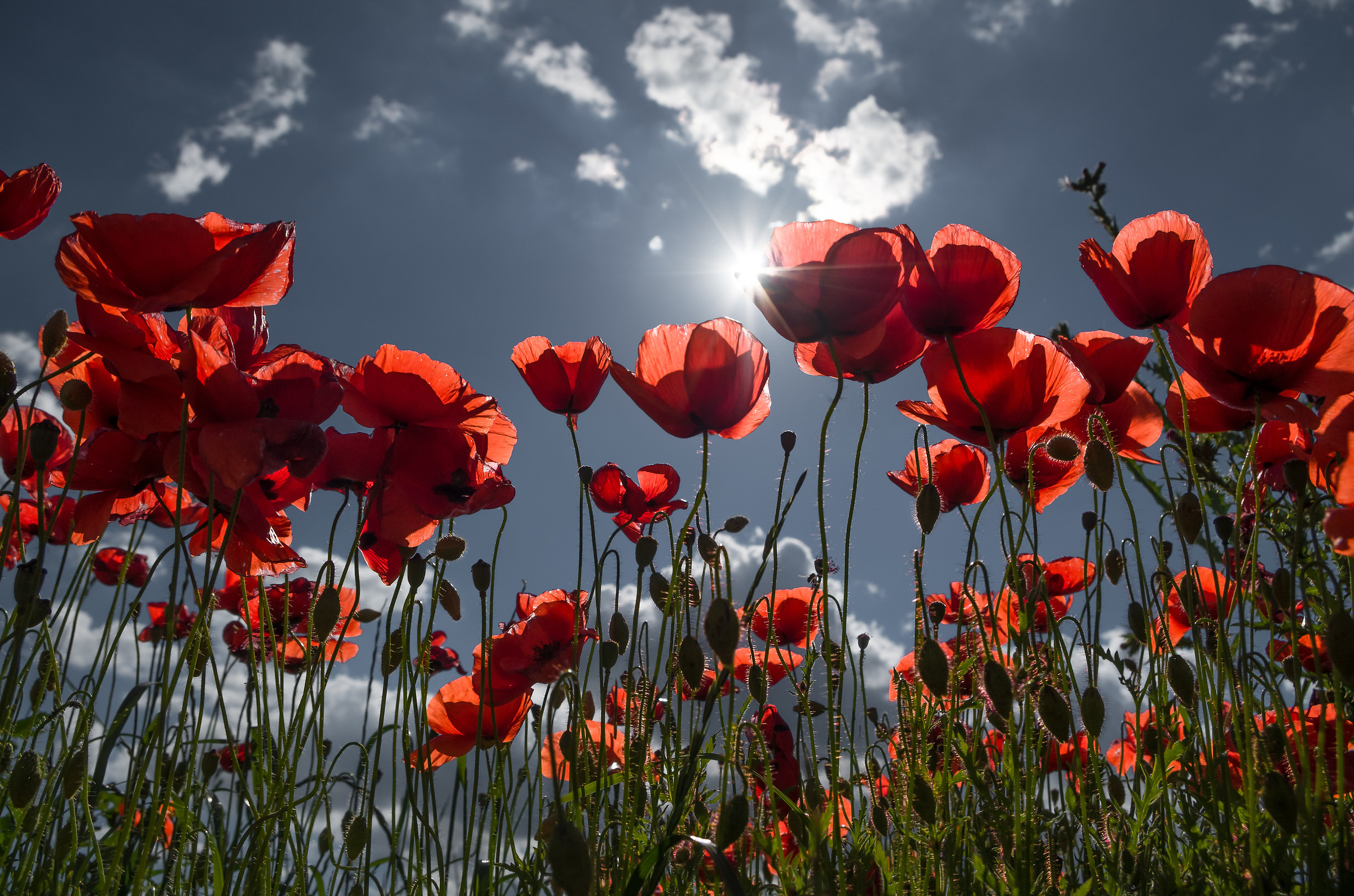 I remember in the summer