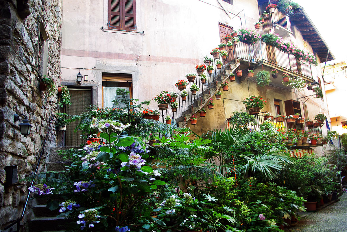 Bienno Scorcio Fiorito