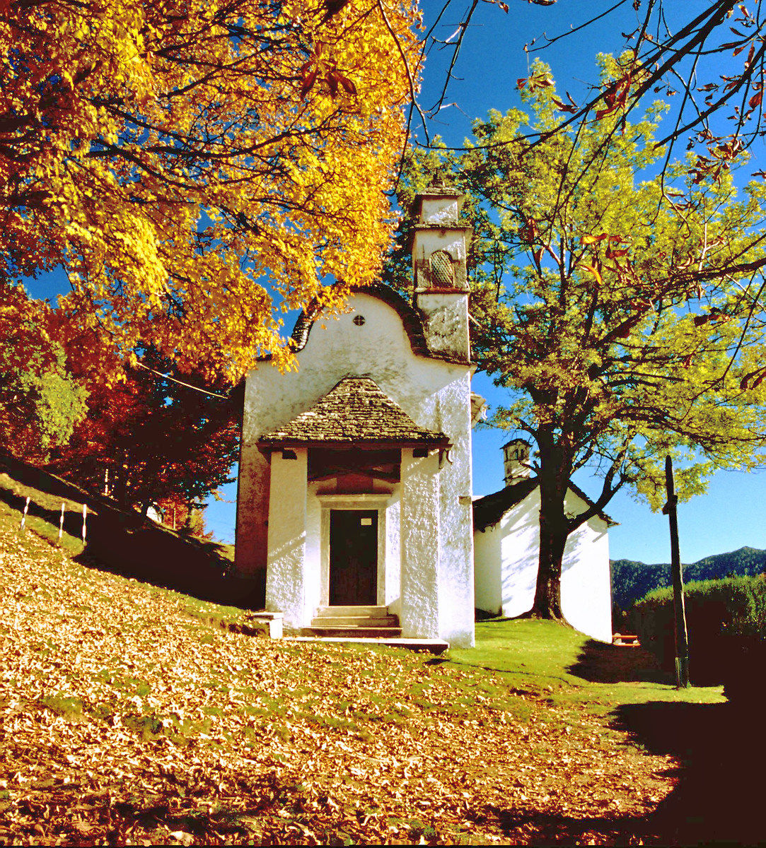 dia scattata con nikon f65 + nikon 28-80