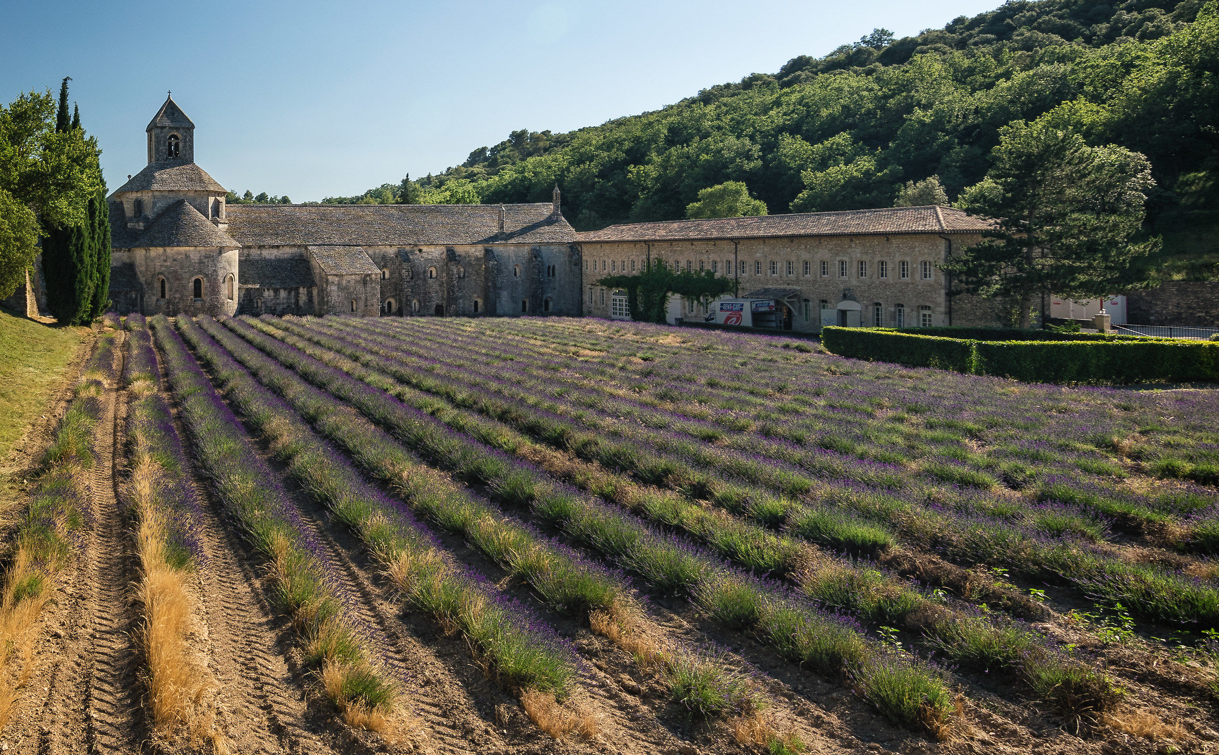 Abbaye de Sénanque