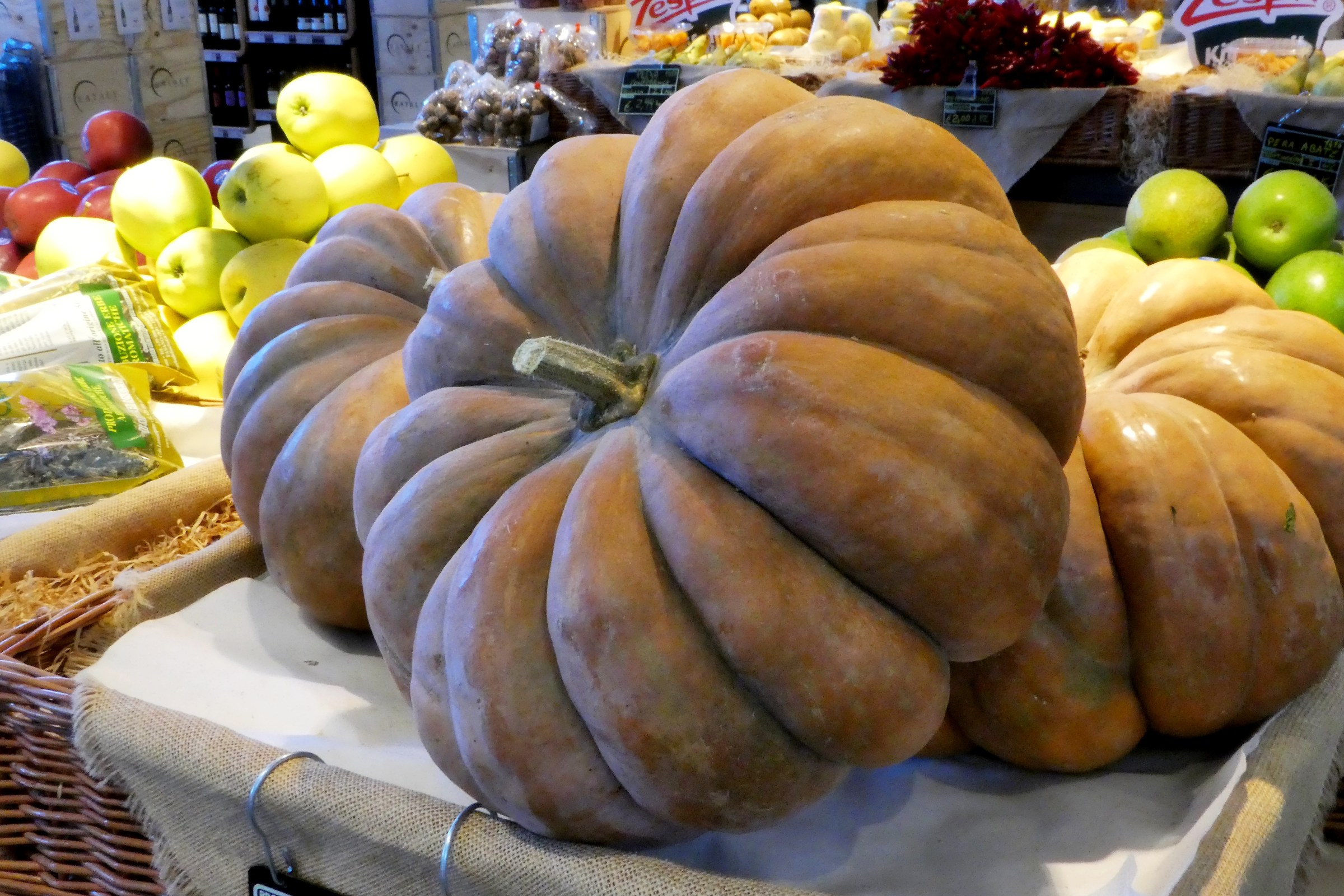 Le forme della natura