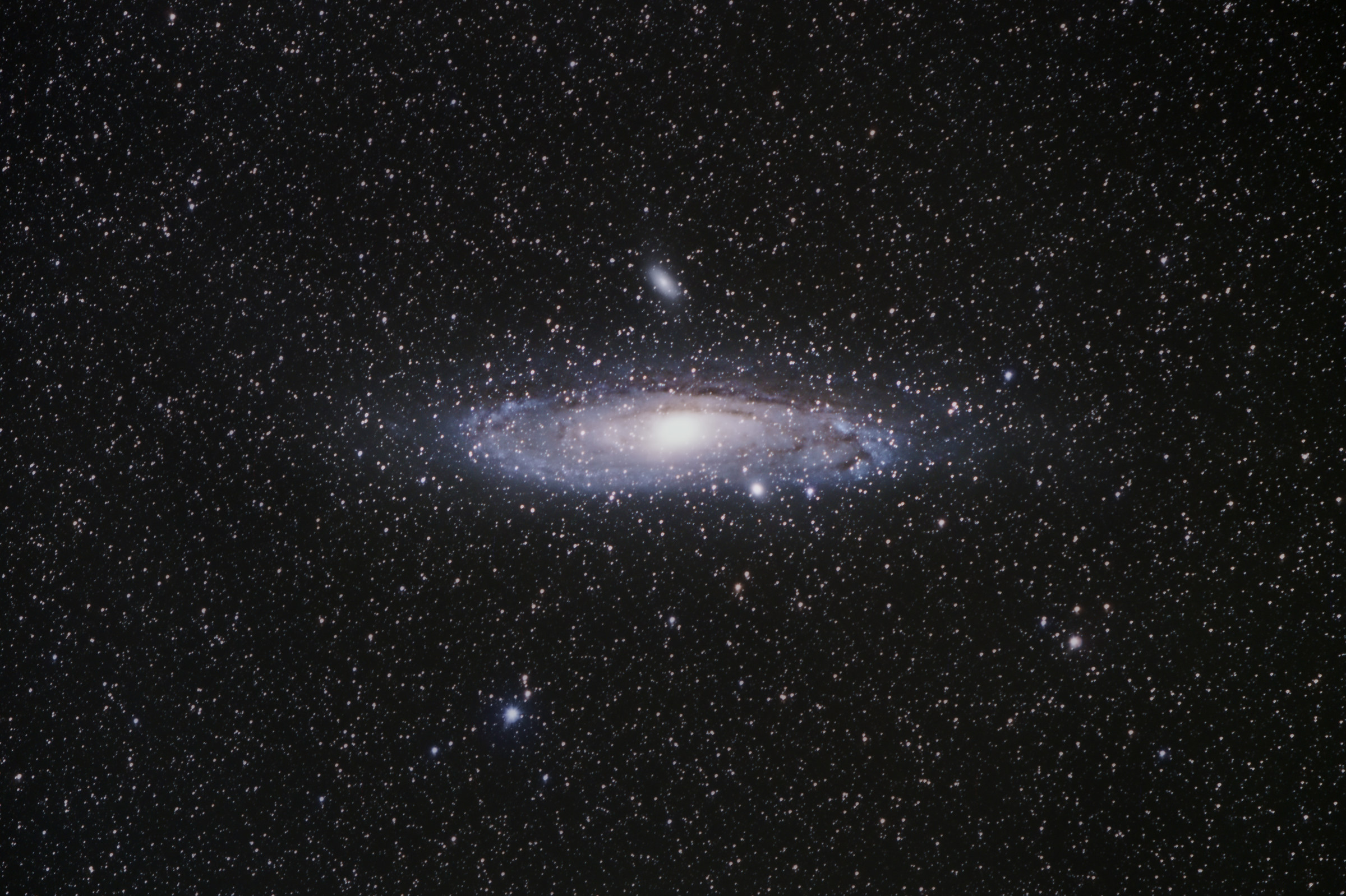 M 31