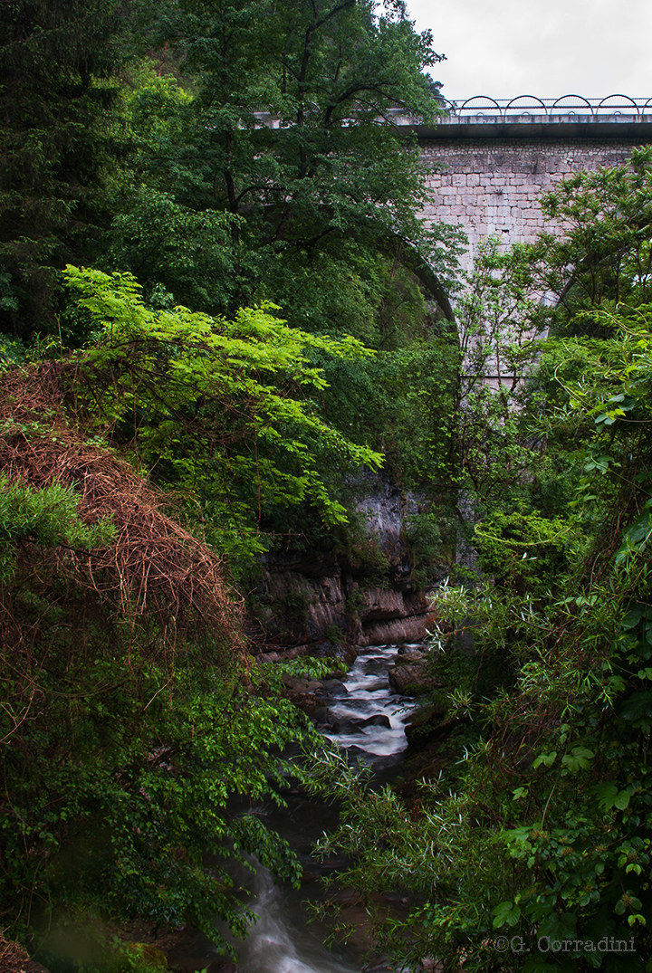 Below, hidden by the people