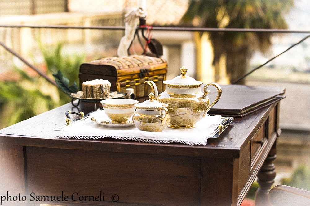 the 800th Castelfidardo reenactment