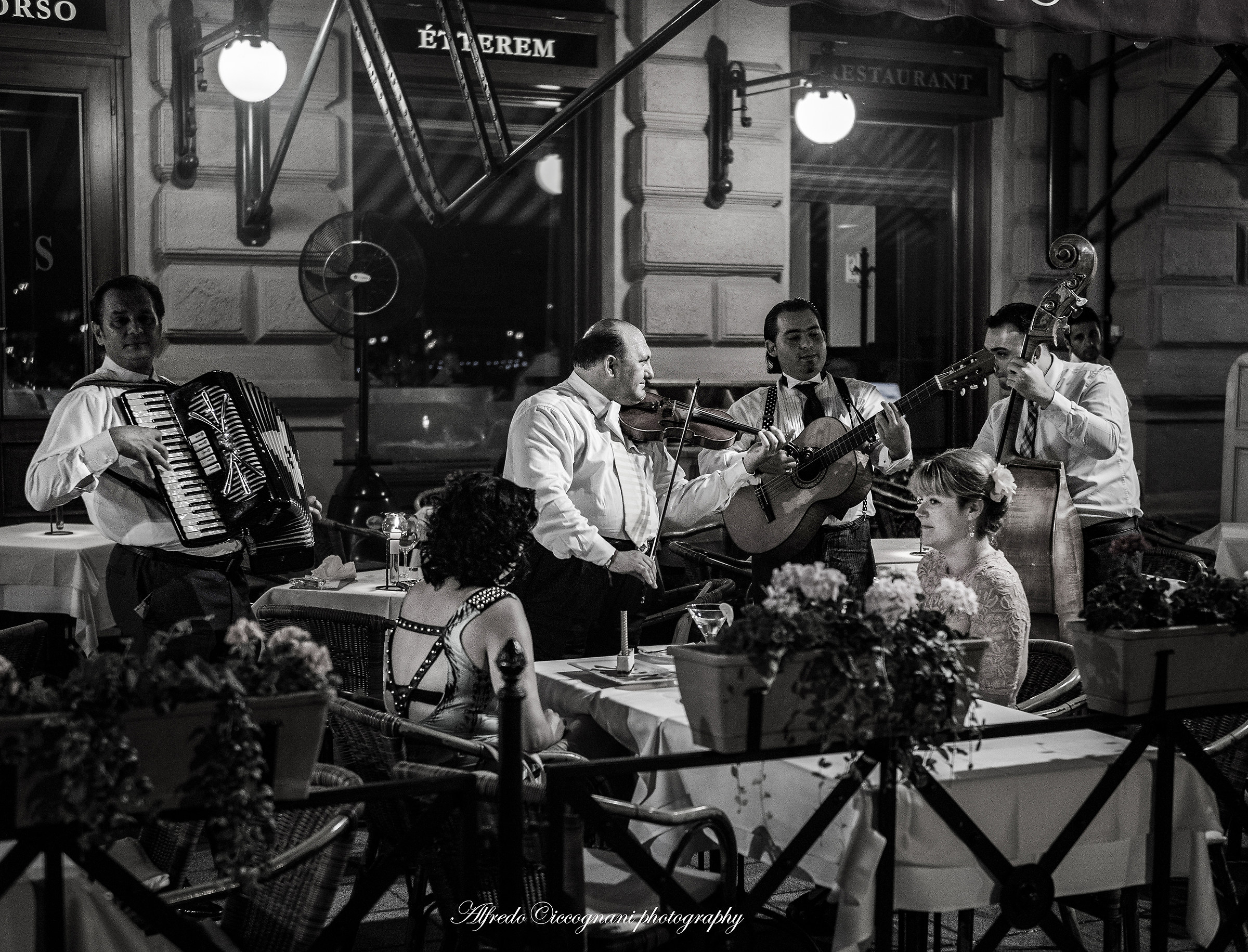 The musiciens