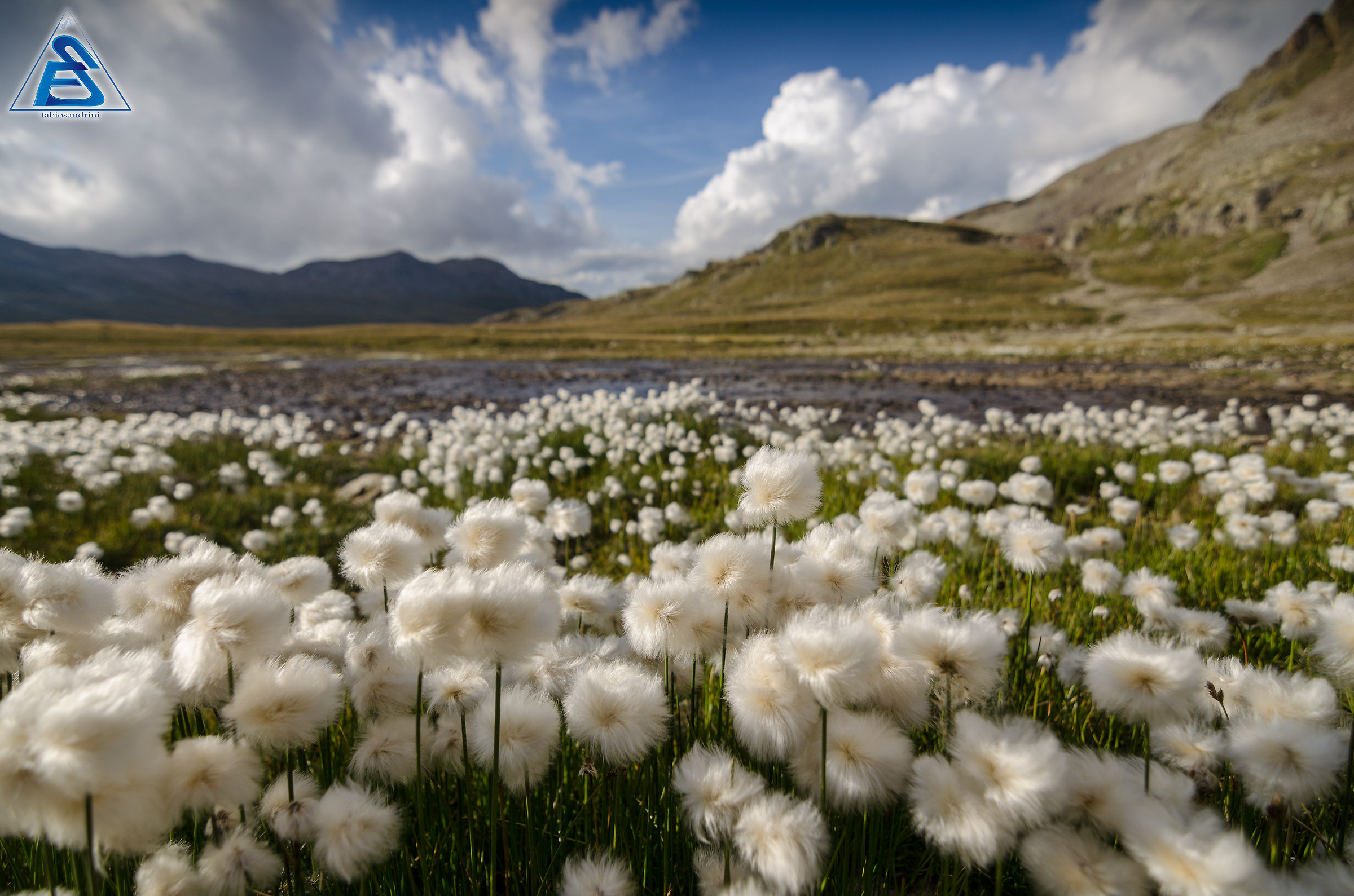 Eriopori - Gavia Pass 2652mslm