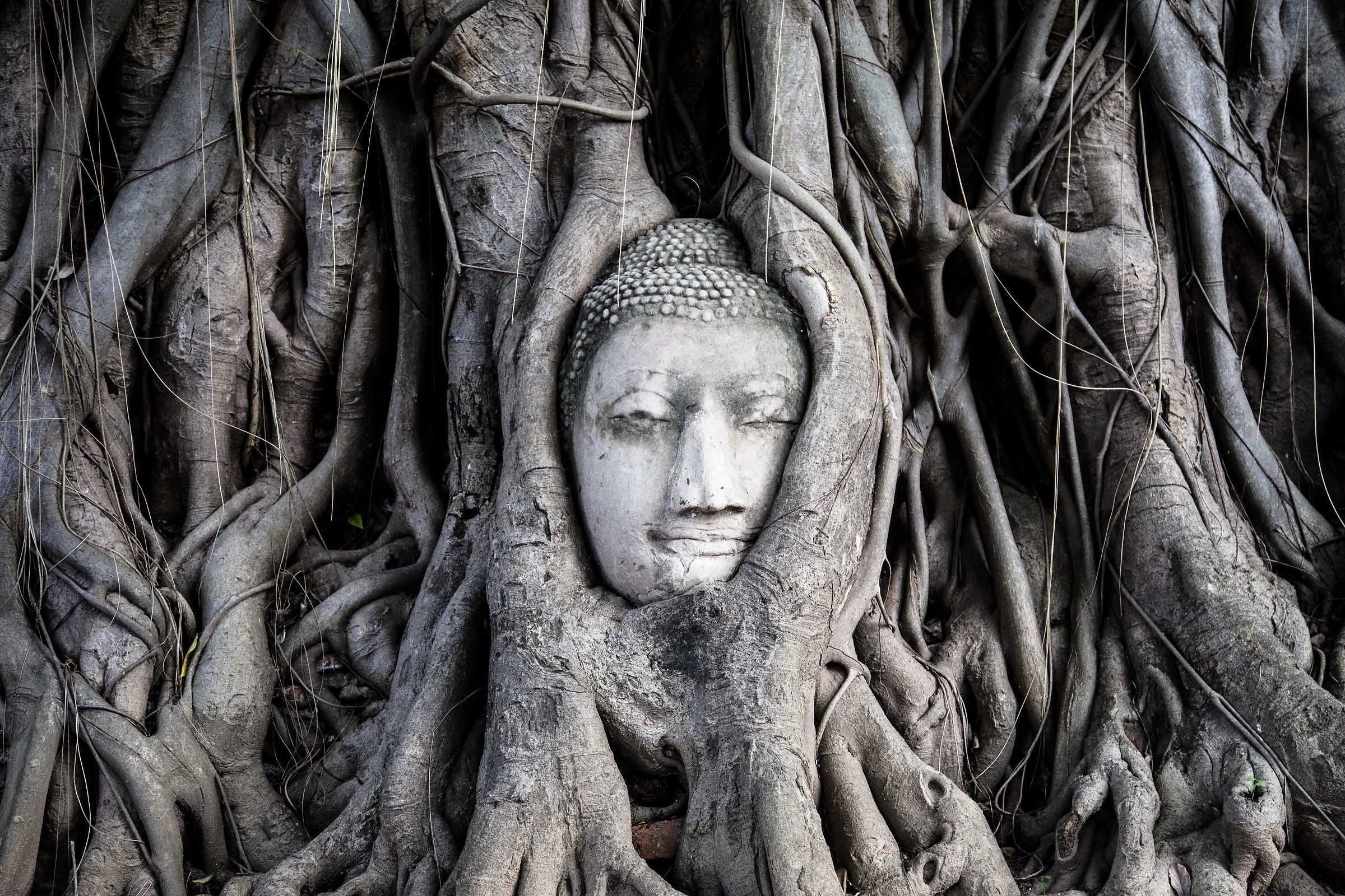 Ayutthaya, Wat Phra Mahathat