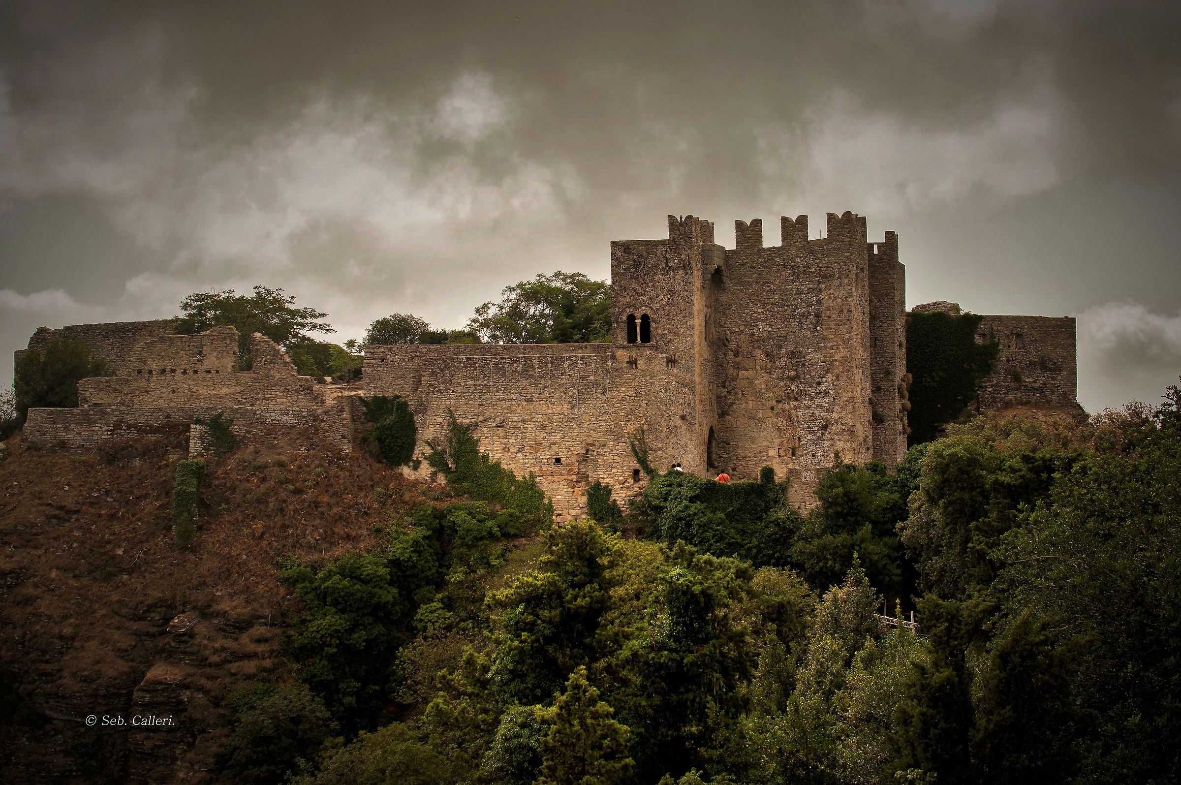 Ospiti per una notte,al castello del Conte Dracula...